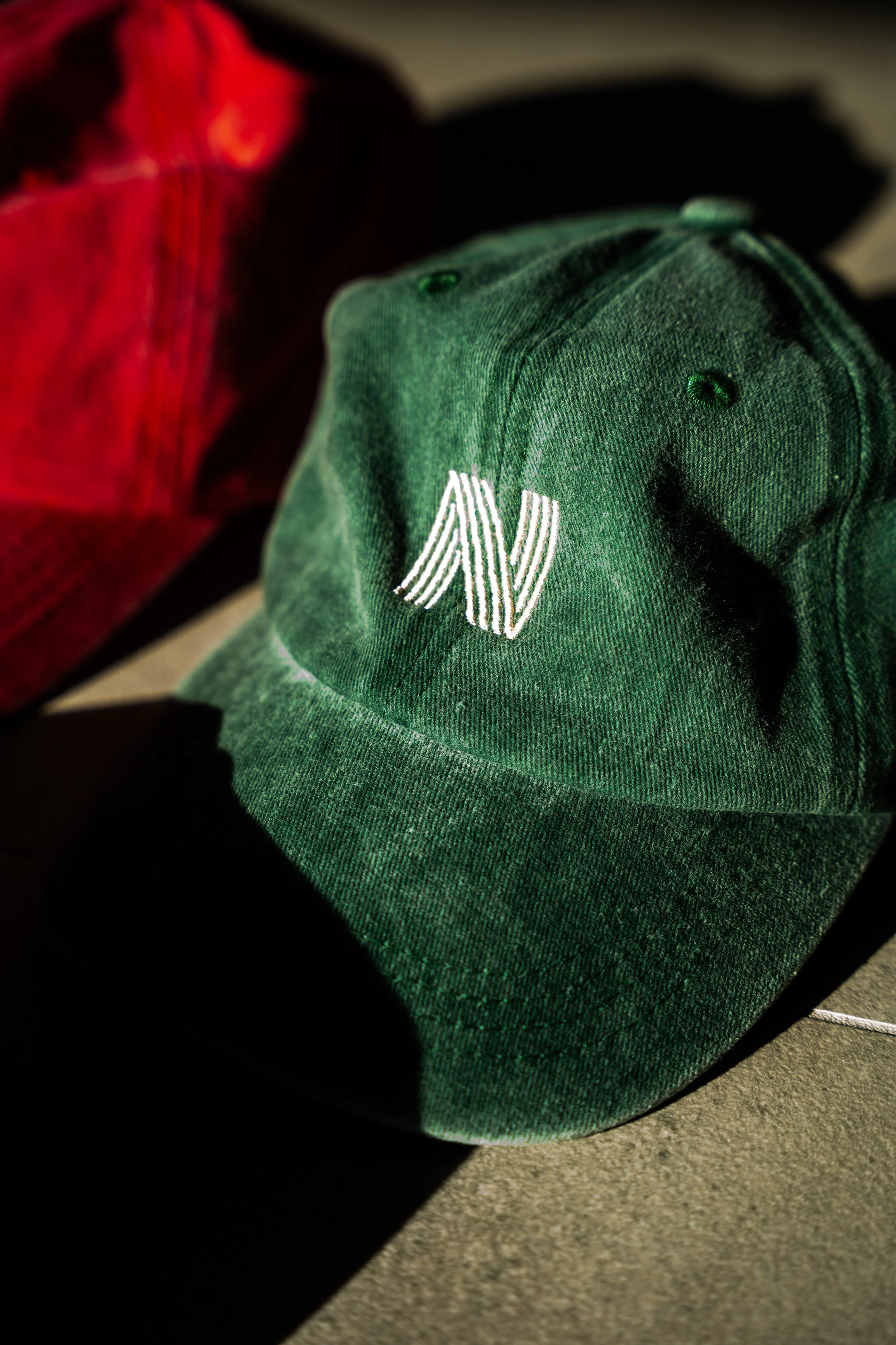 NVS-187.jpg