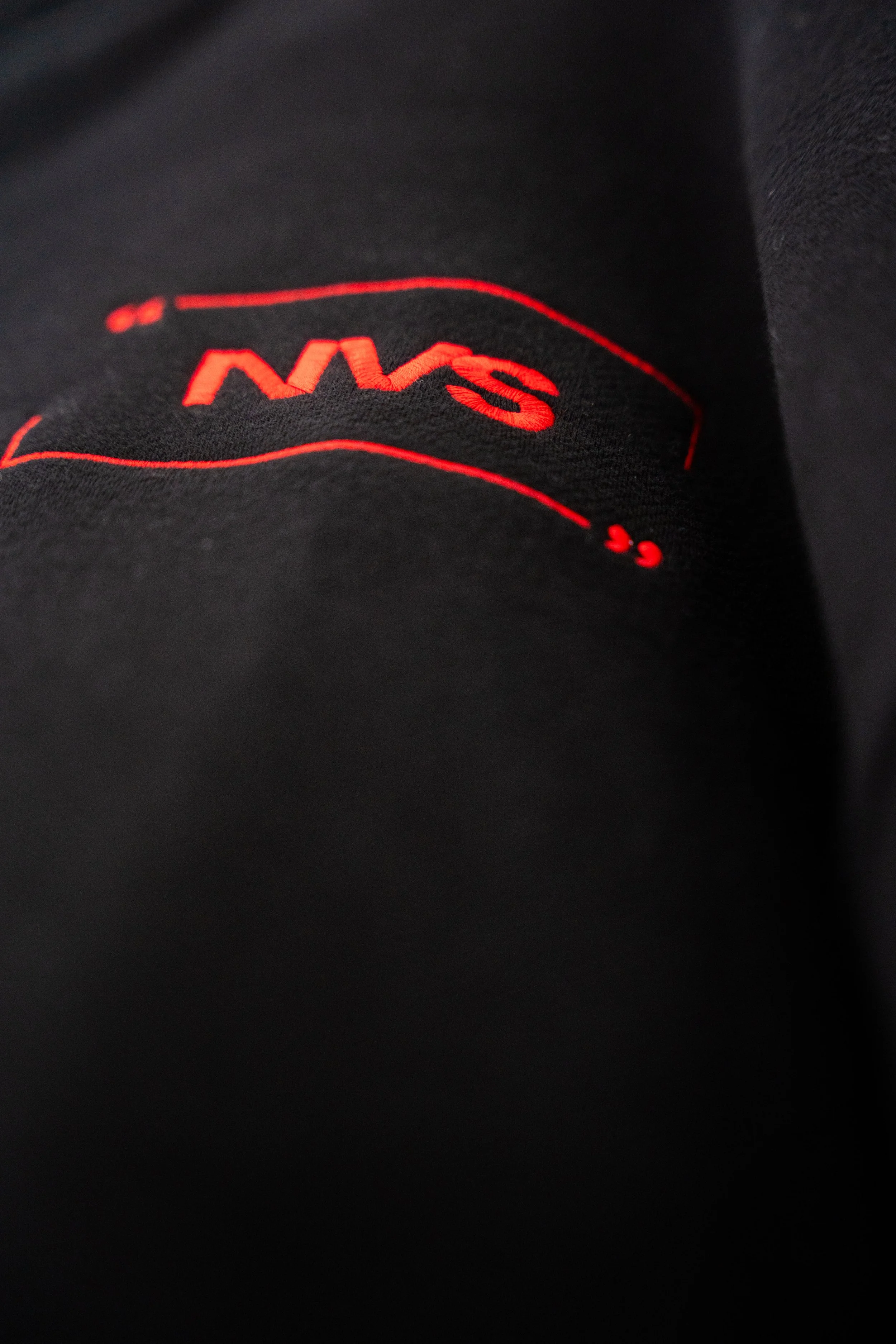NVS-11.jpg