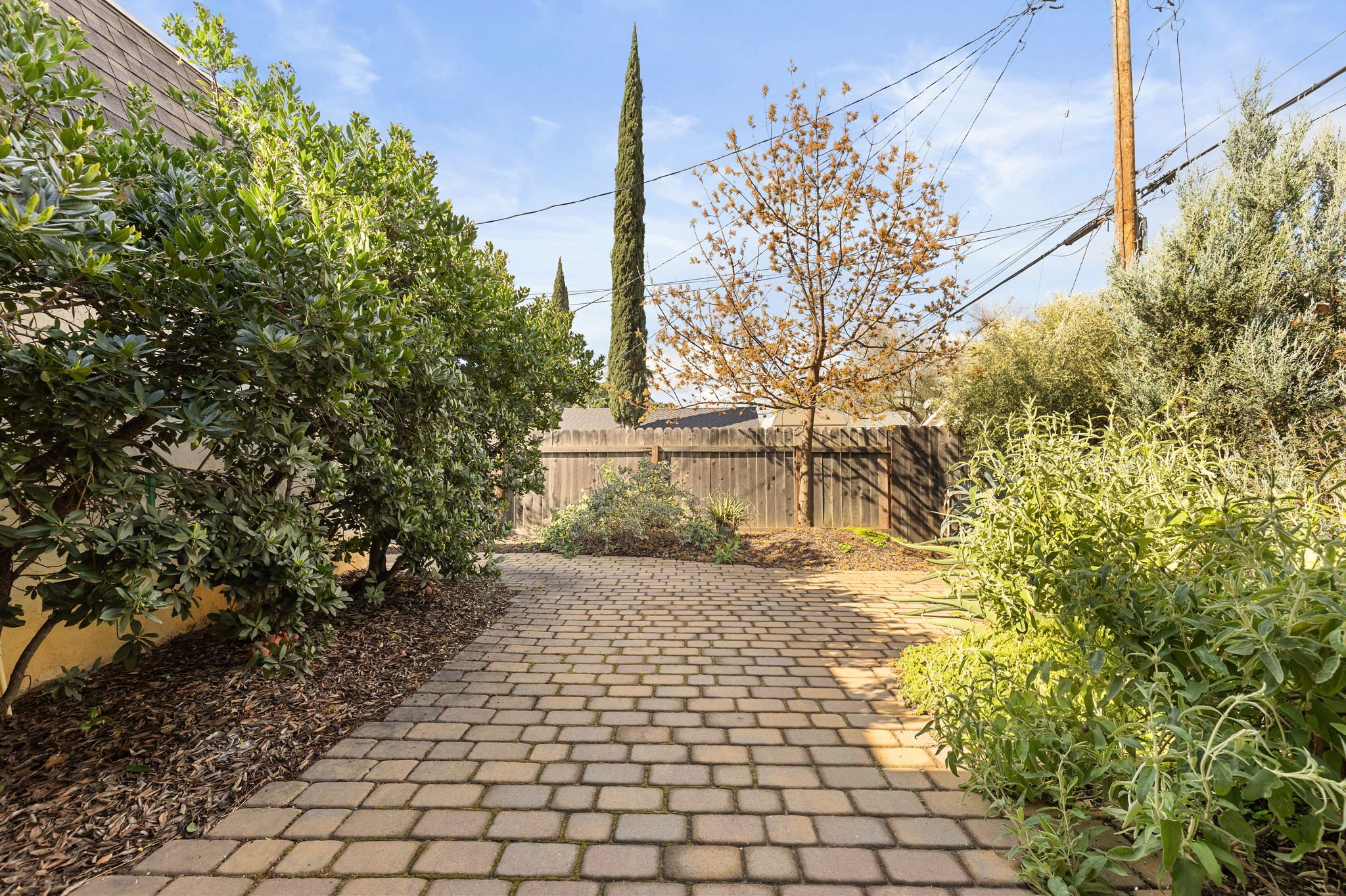 31-web-or-mls-802-bidwell-st.jpg
