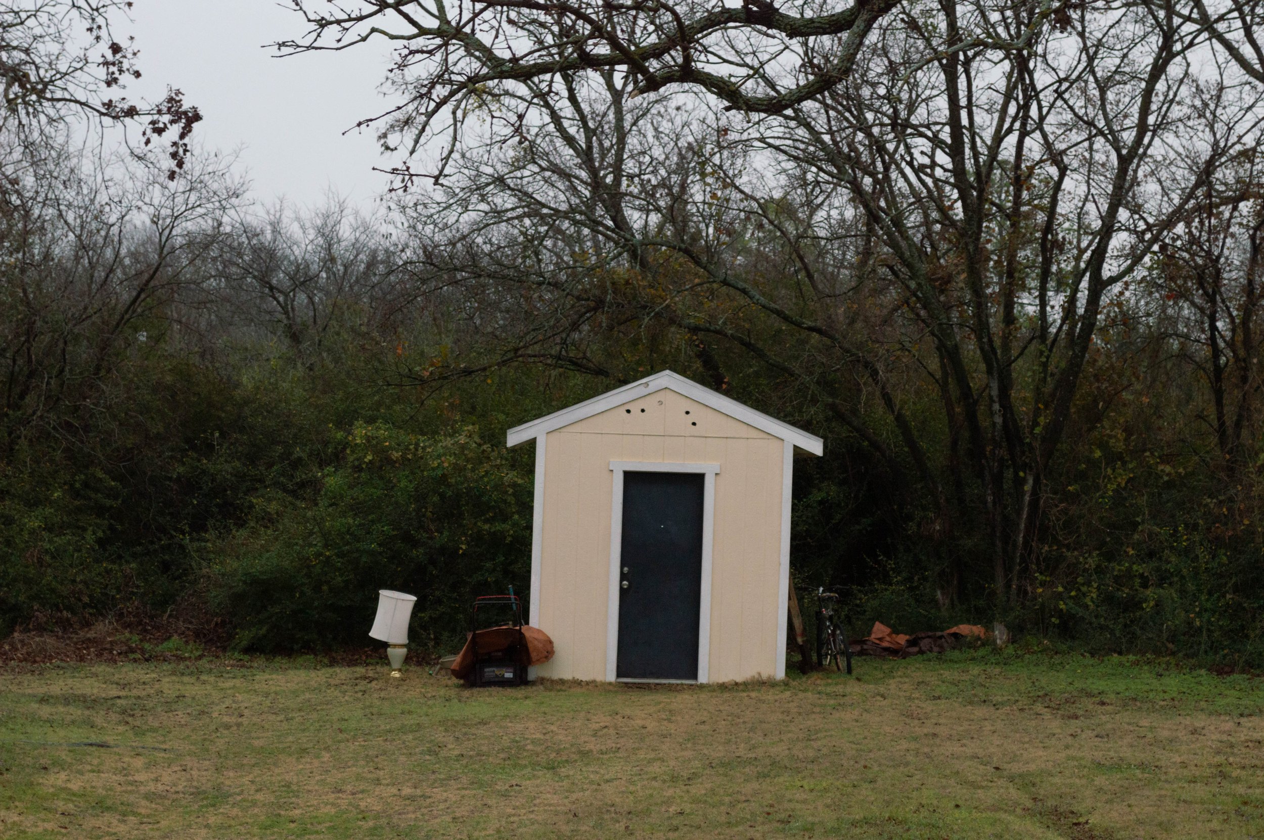 Theo Johnson_20250210_14.jpg