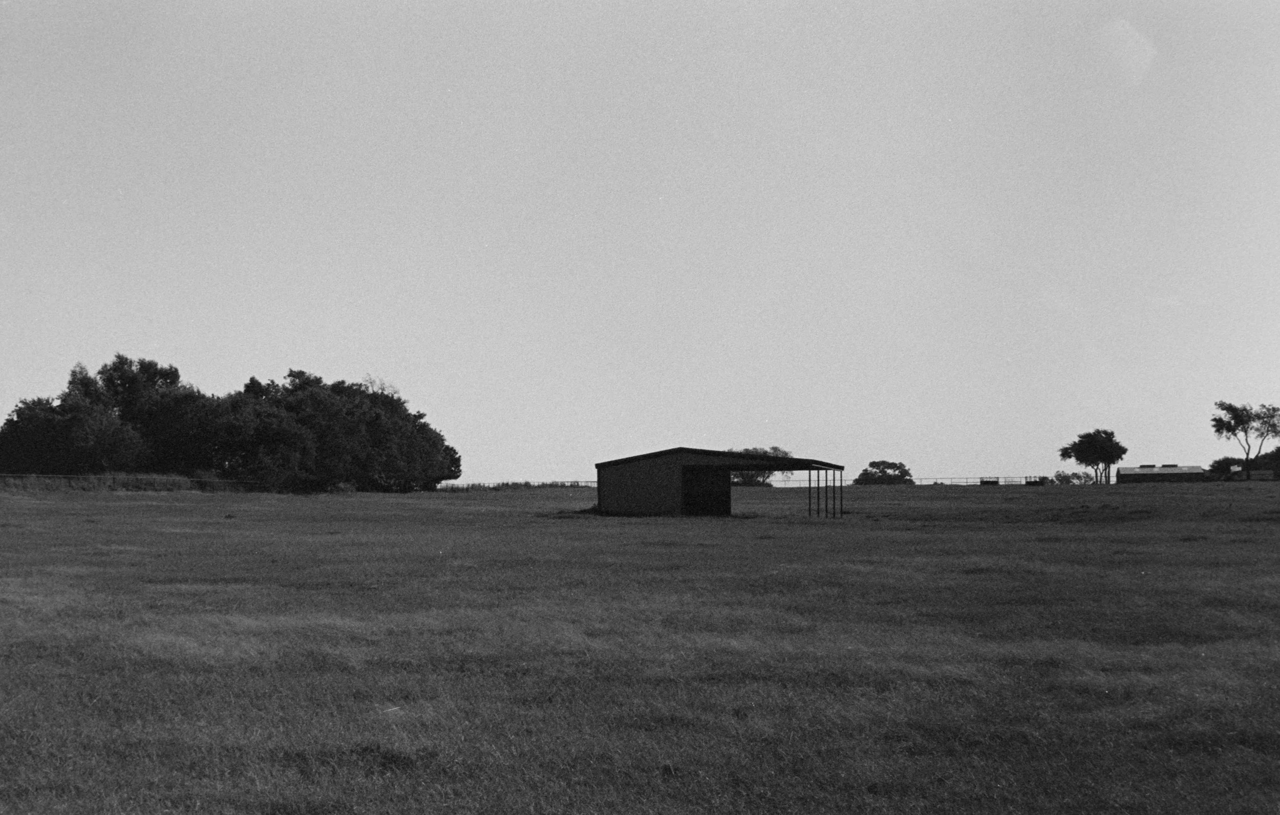 Theo Johnson_Tommy Manion Ranch_2025.jpg