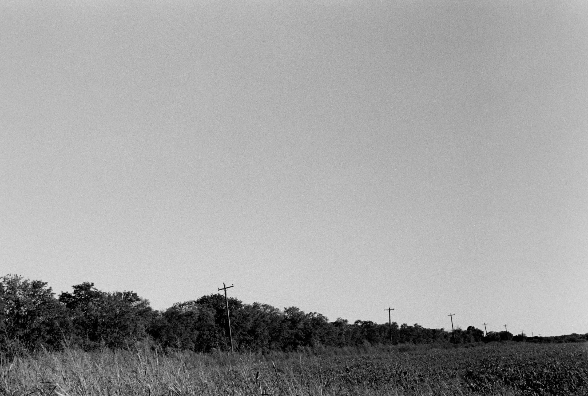 Theo Johnson_Pezel Rd #2_2025.jpg