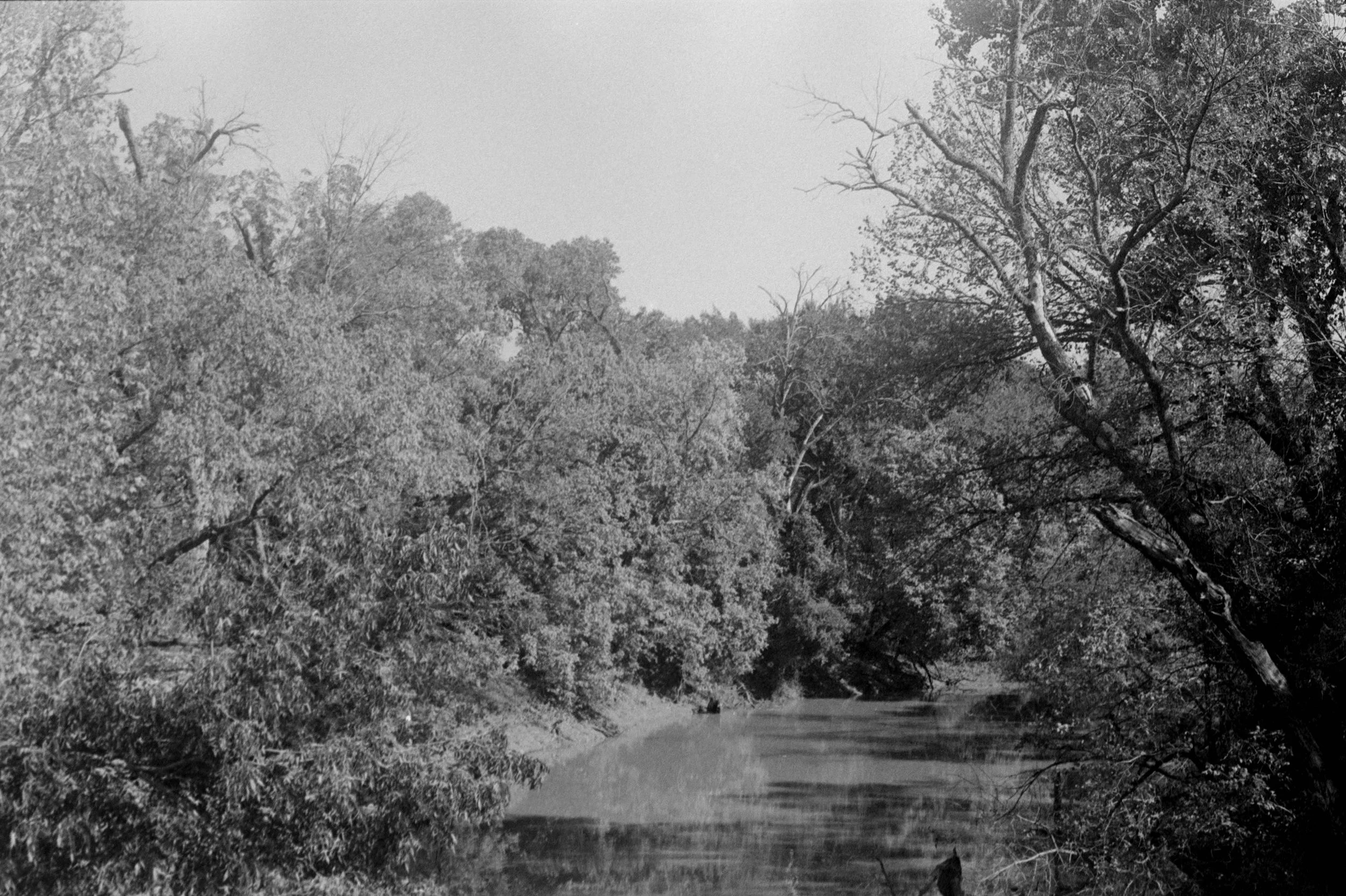 Theo Johnson_View From Elm Fork Bridge_2025.jpg
