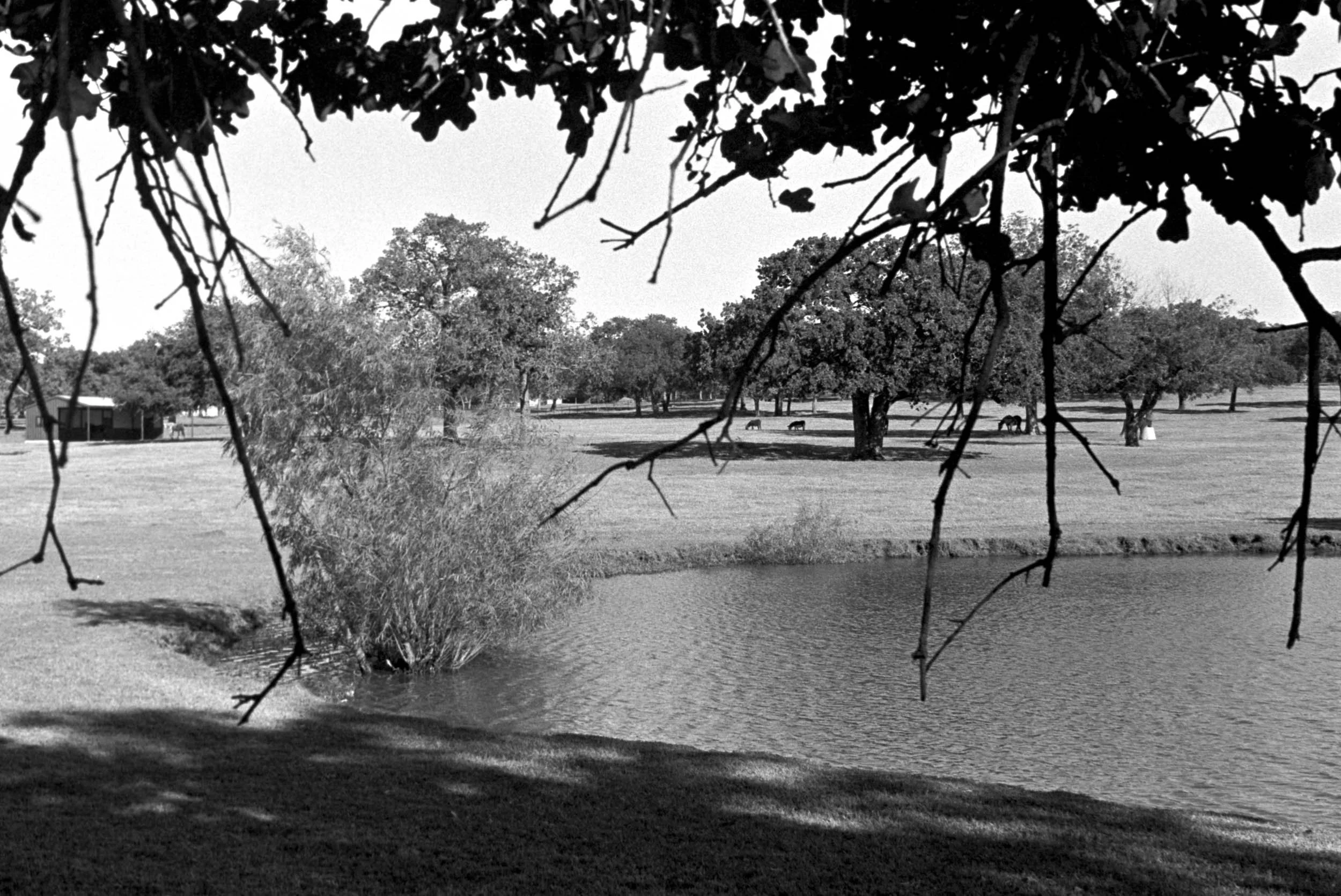 Studio Session-085-Edit.jpg