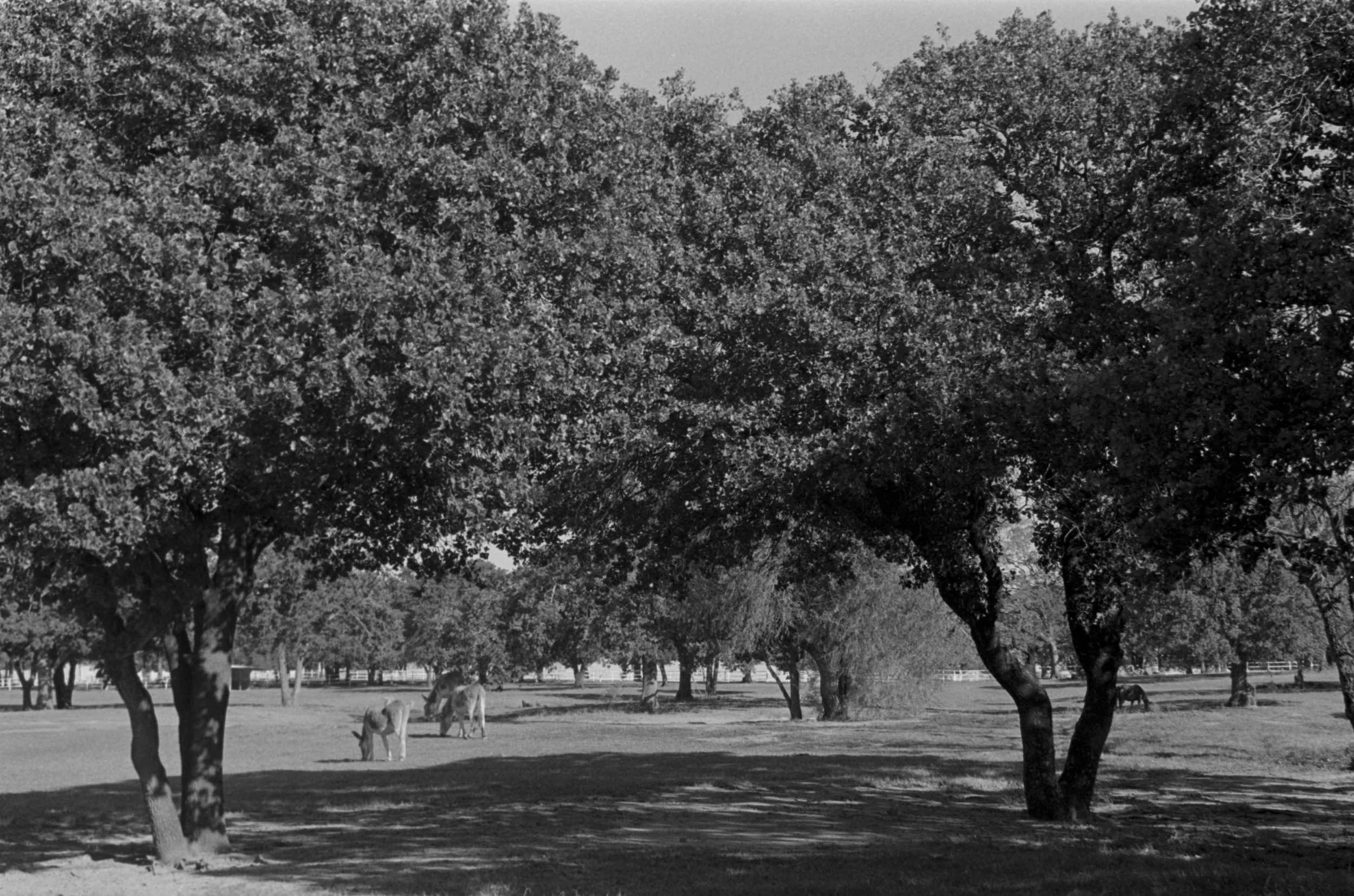 Studio Session-076-Edit.jpg