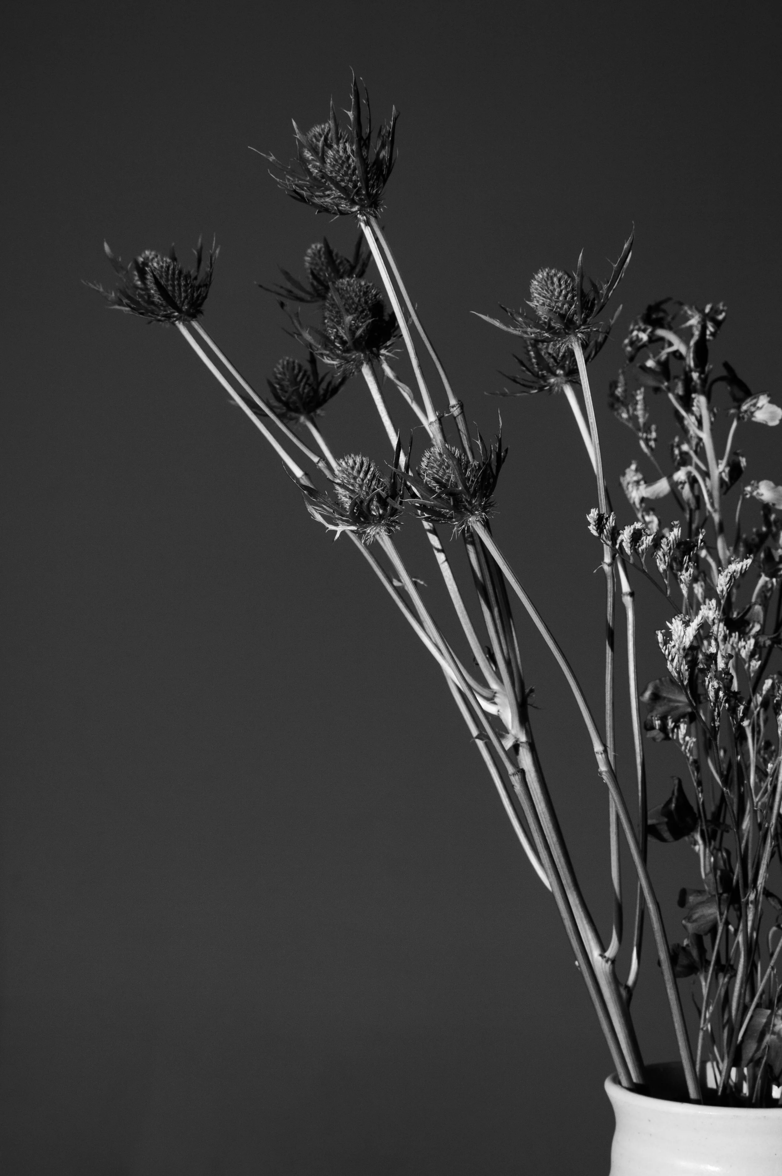 _DSC0407-6.jpg