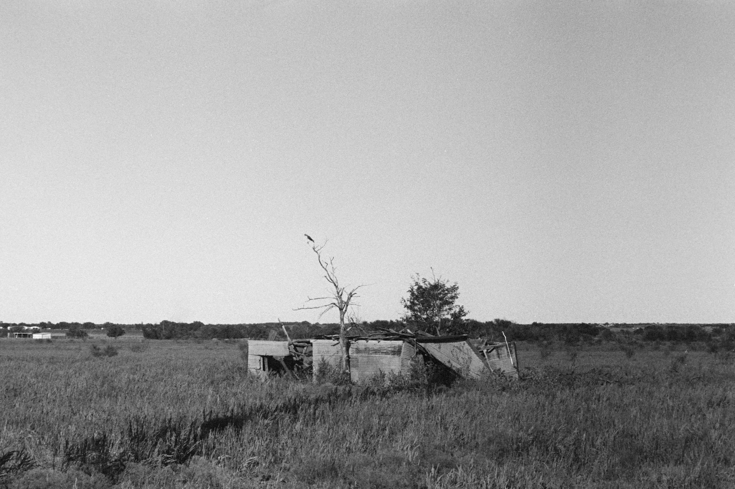 Theo Johnson_Pezel Rd #1_2025.jpg