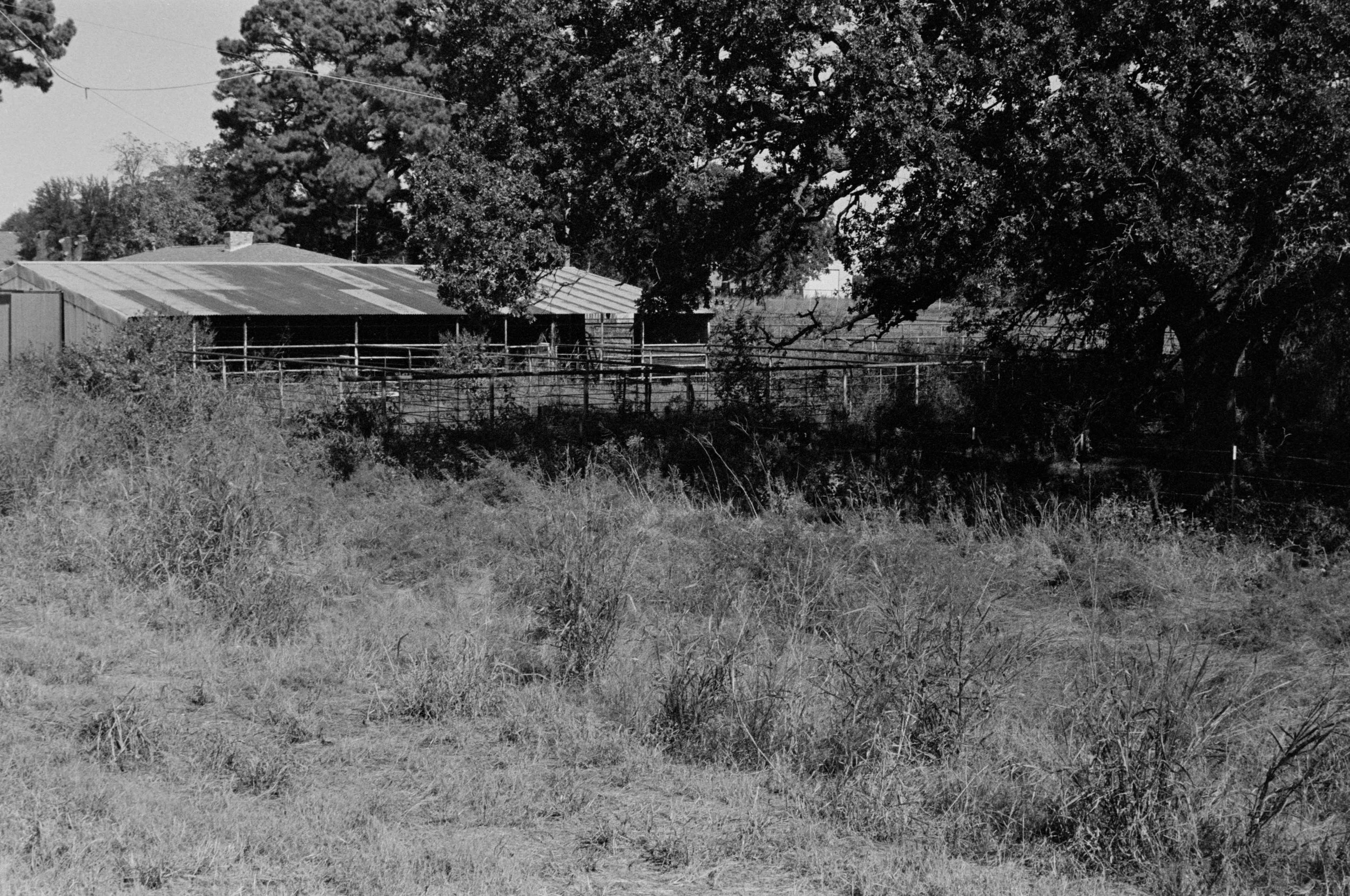 Theo Johnson_FM 377 #1_2025.jpg