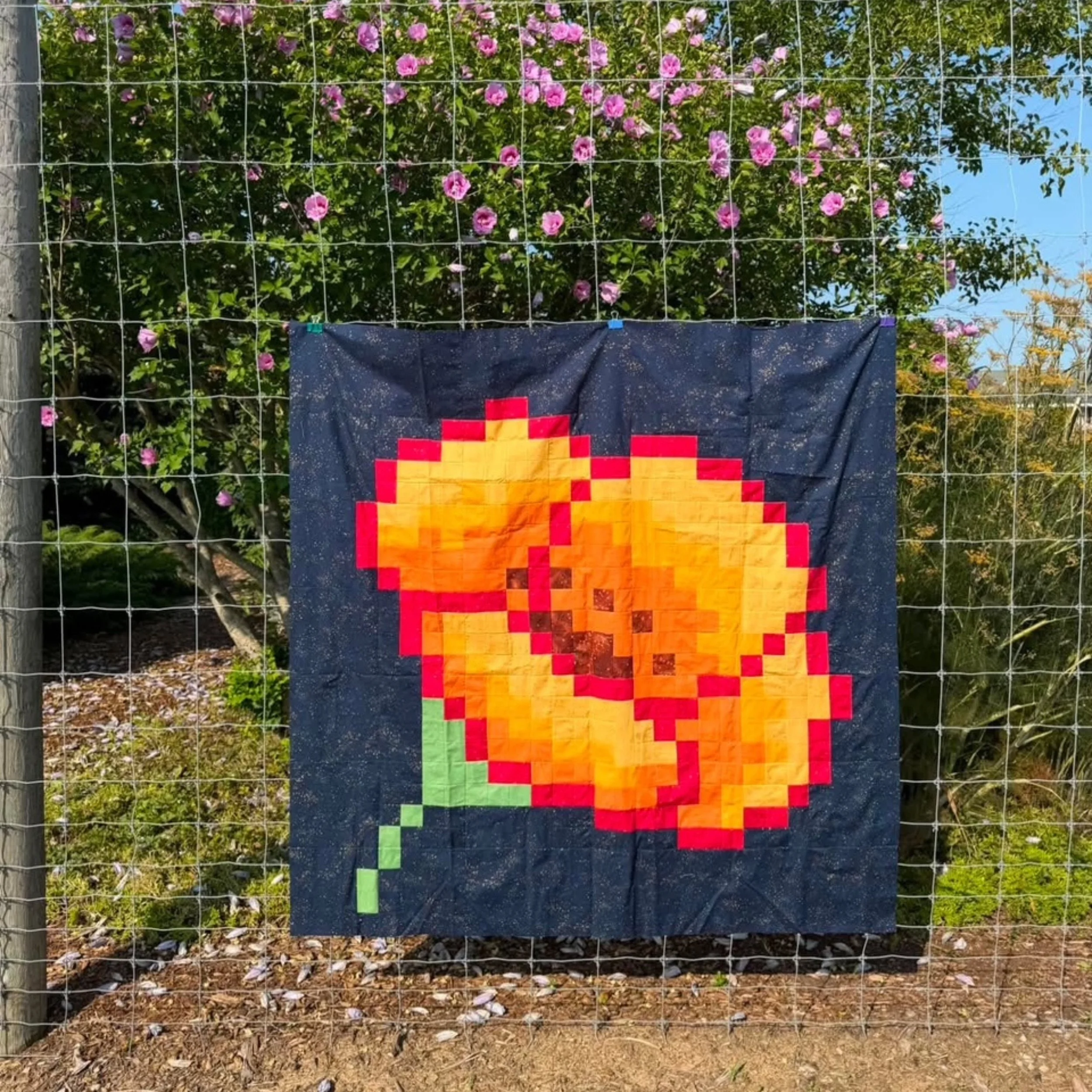Donna poppy.JPG