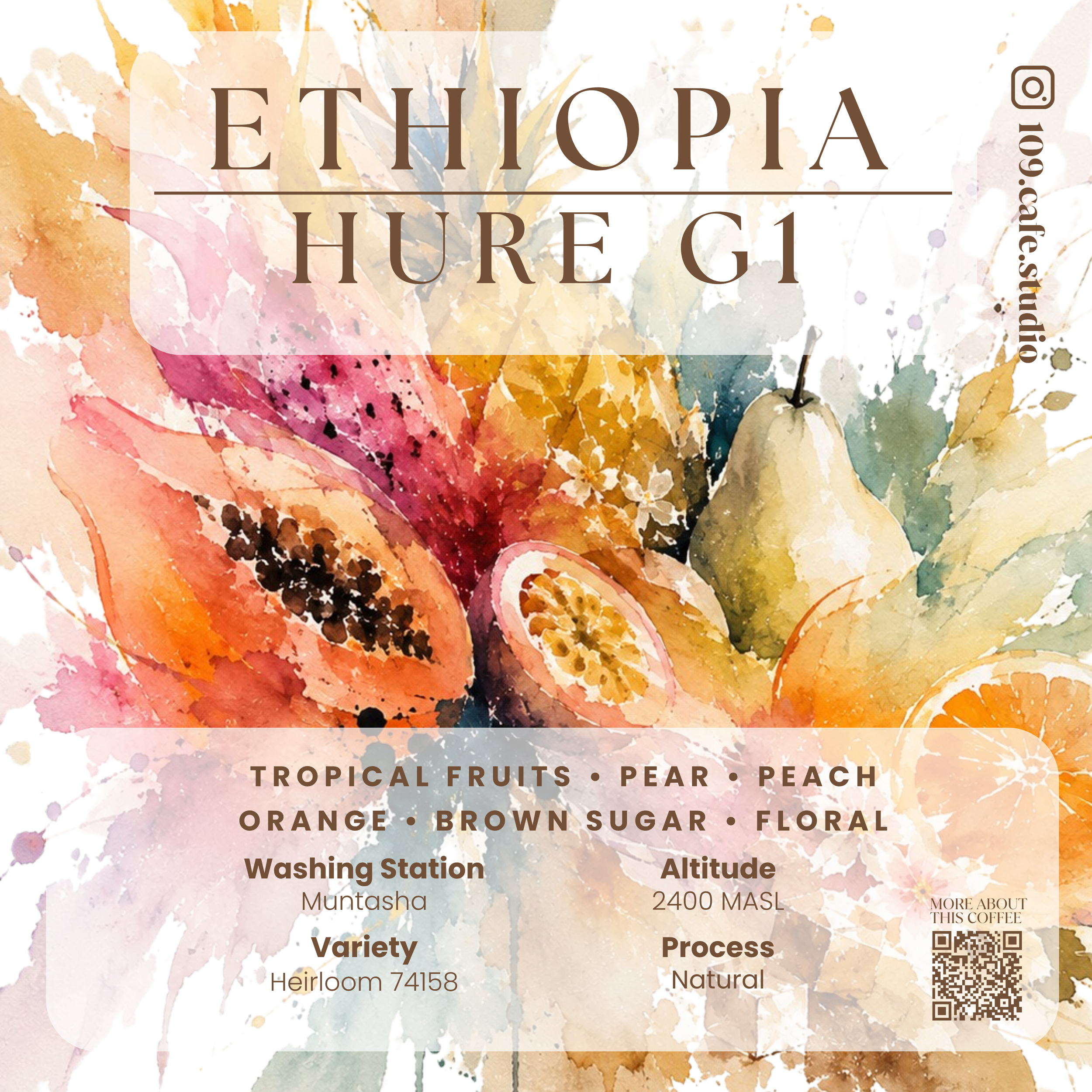 Ethiopia / Hure G1 / Muntasha