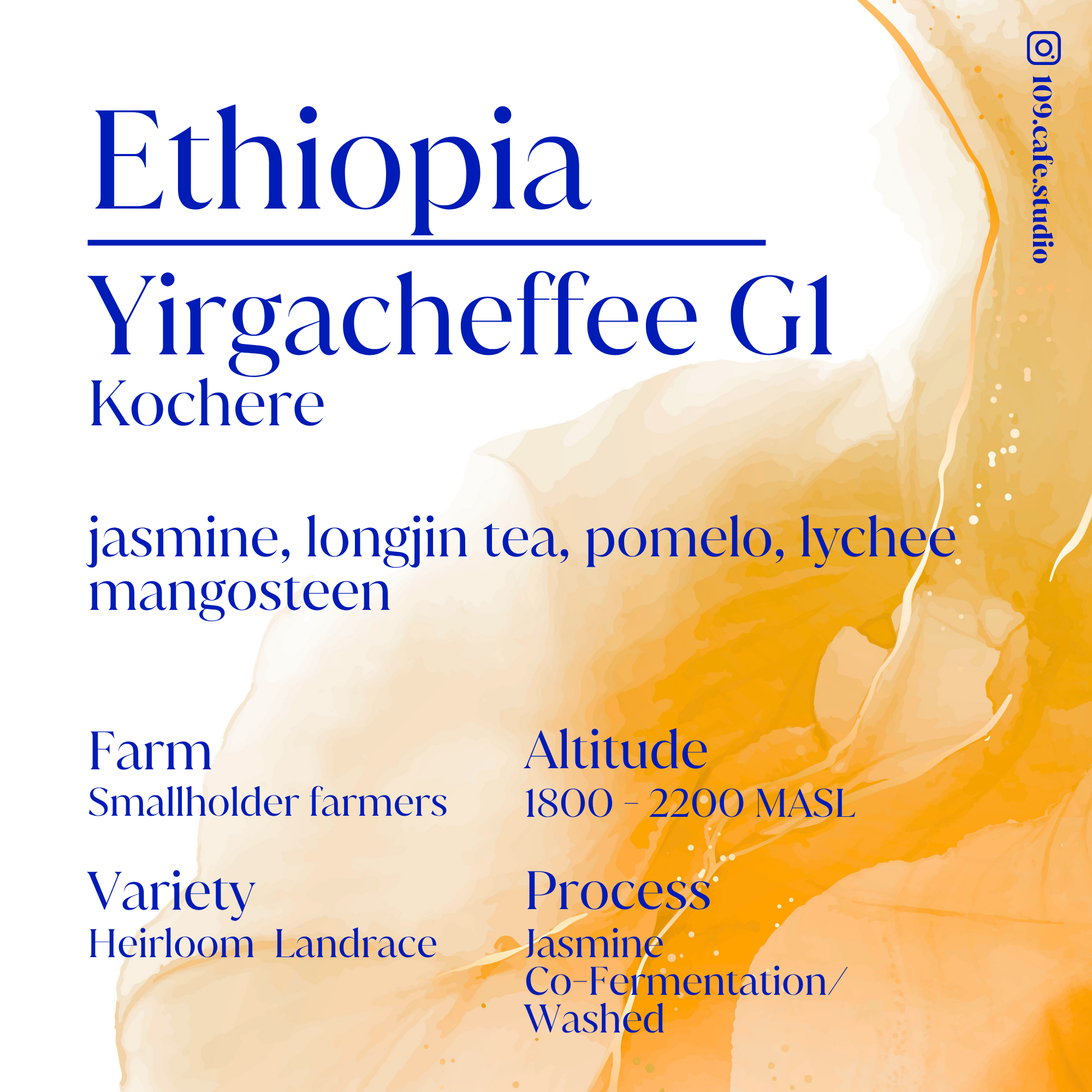 Ethiopia / Yirgacheffee G1 / Kochere