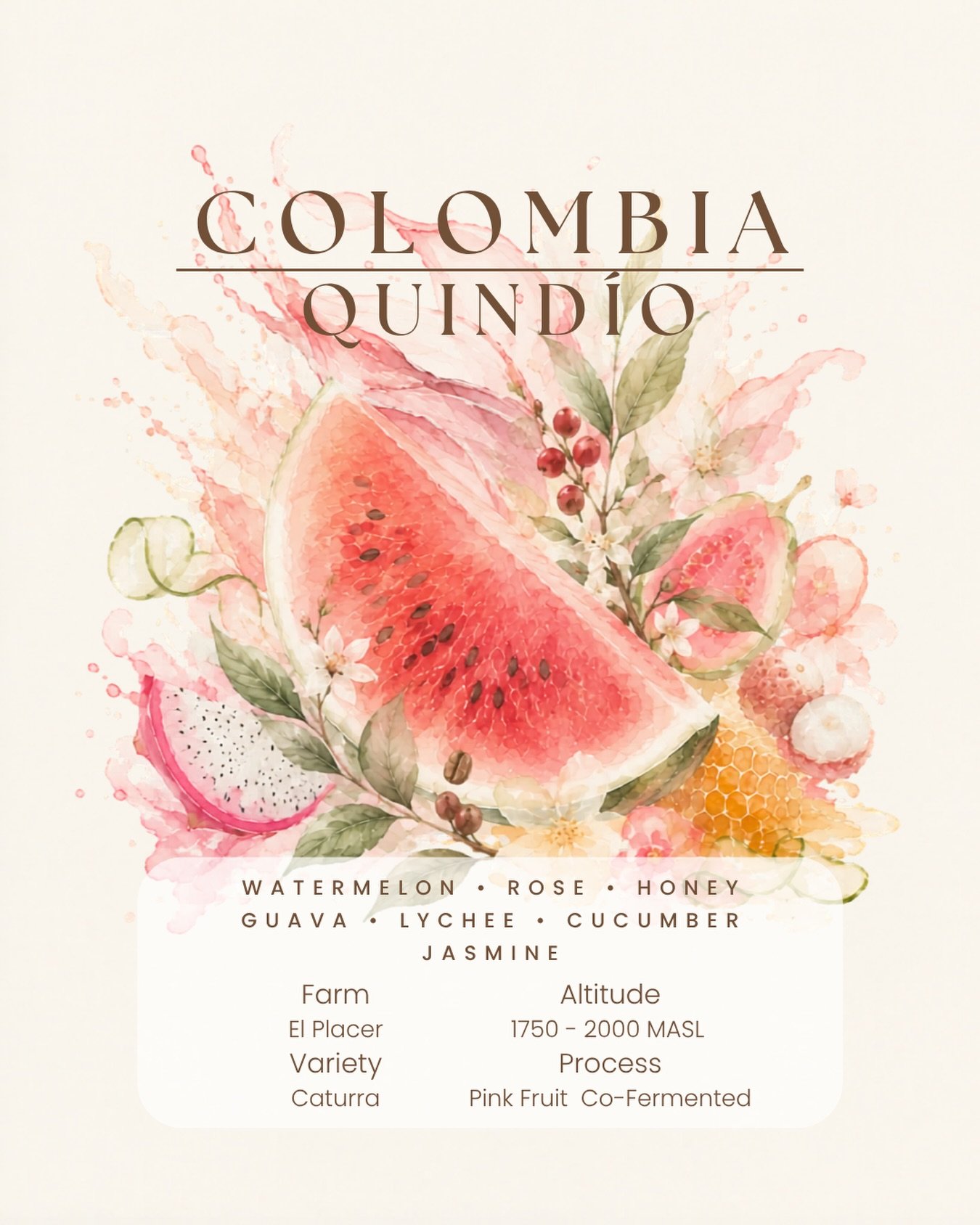 We haven&rsquo;t really talked about one of our recent releases yet: Colombia Pink Fruits Co Fermented from Sebasti&aacute;n Ram&iacute;rez at @coffeefarmelplacer , Colombia.

In the cup,  this coffee is intensely expressive yet beautifully structure