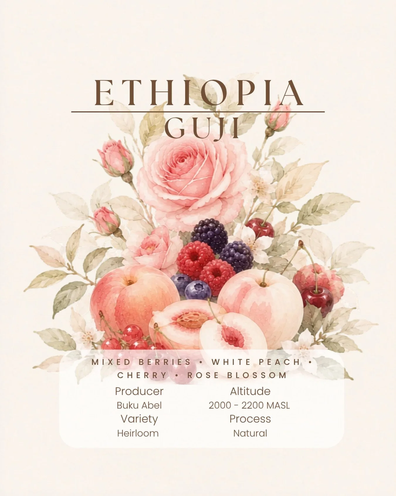 Ethiopian coffee has always held a special place in my heart. This year, we&rsquo;re planning to share several lots from Ethiopia, and last weekend we quietly released two new lots at the studio.

Today, we&rsquo;d like to introduce one of them: Ethi