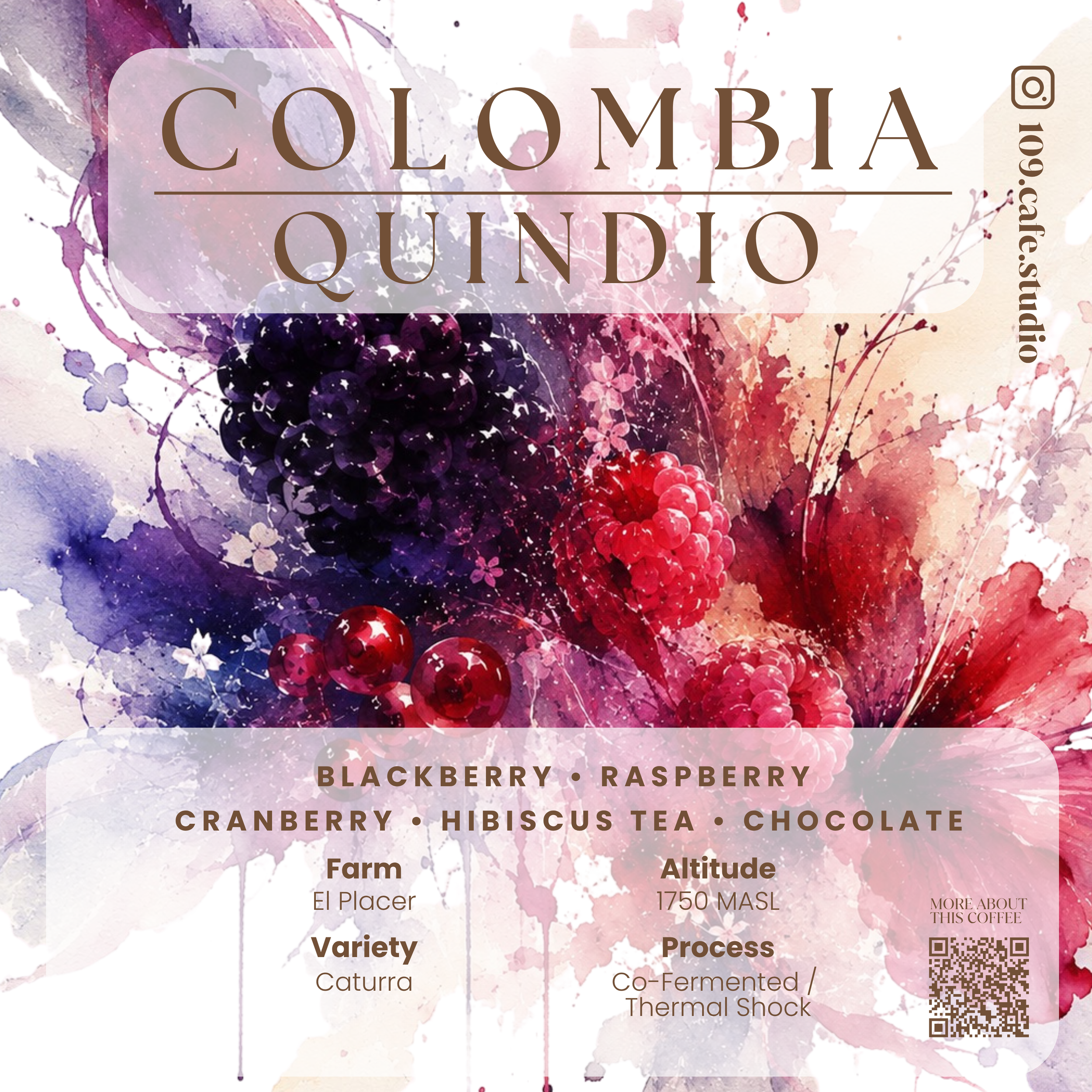Colombia / El Placer / Caturra
