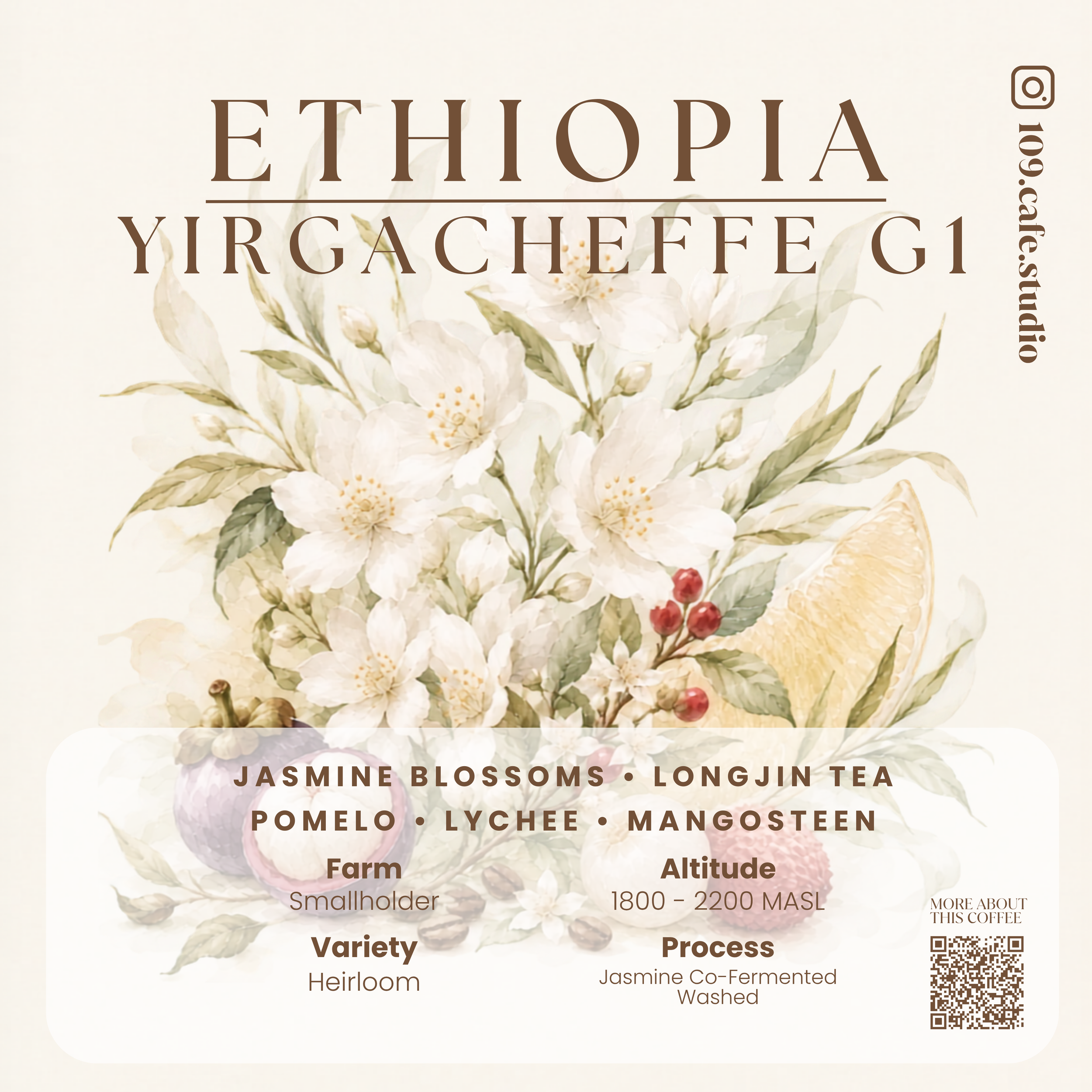 Ethiopia / Yirgacheffee G1 / Kochere
