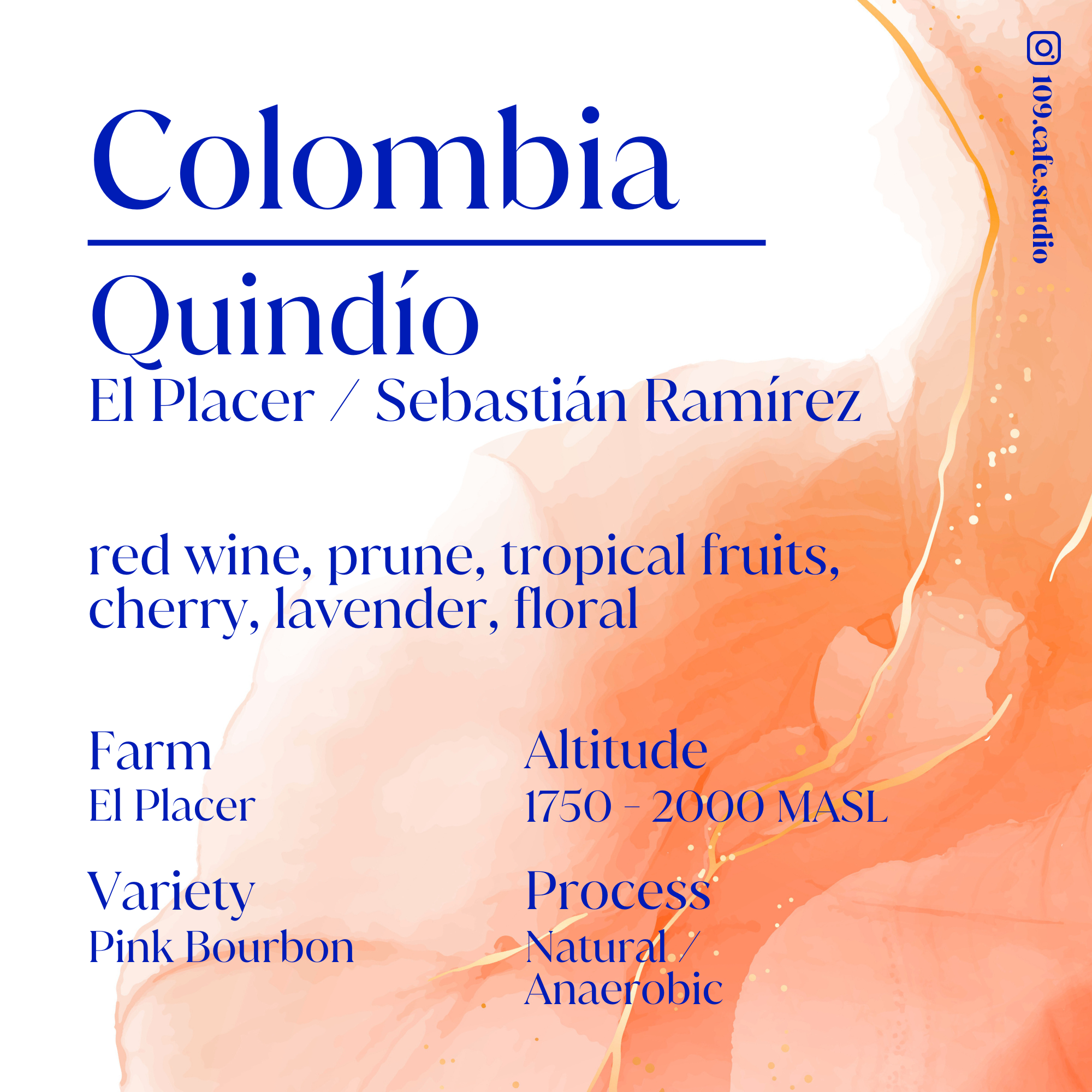 Colombia / El Placer / Pink Bourbon