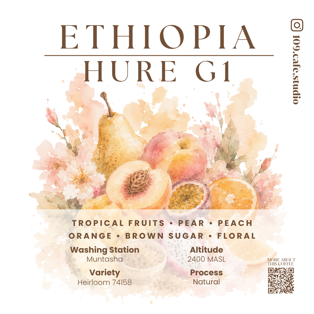 Ethiopia / Hure G1 / Muntasha