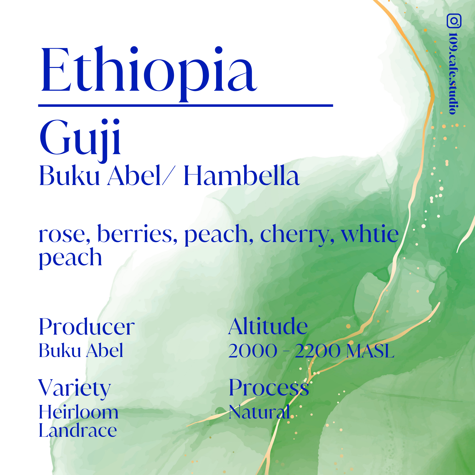 Ethiopia / Guji / Buku Abel