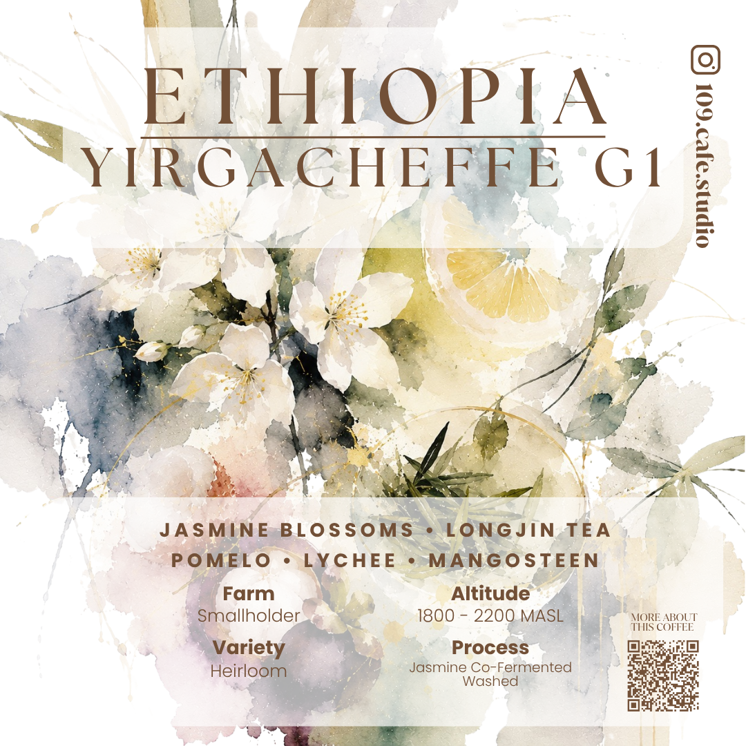Ethiopia / Yirgacheffee G1 / Kochere
