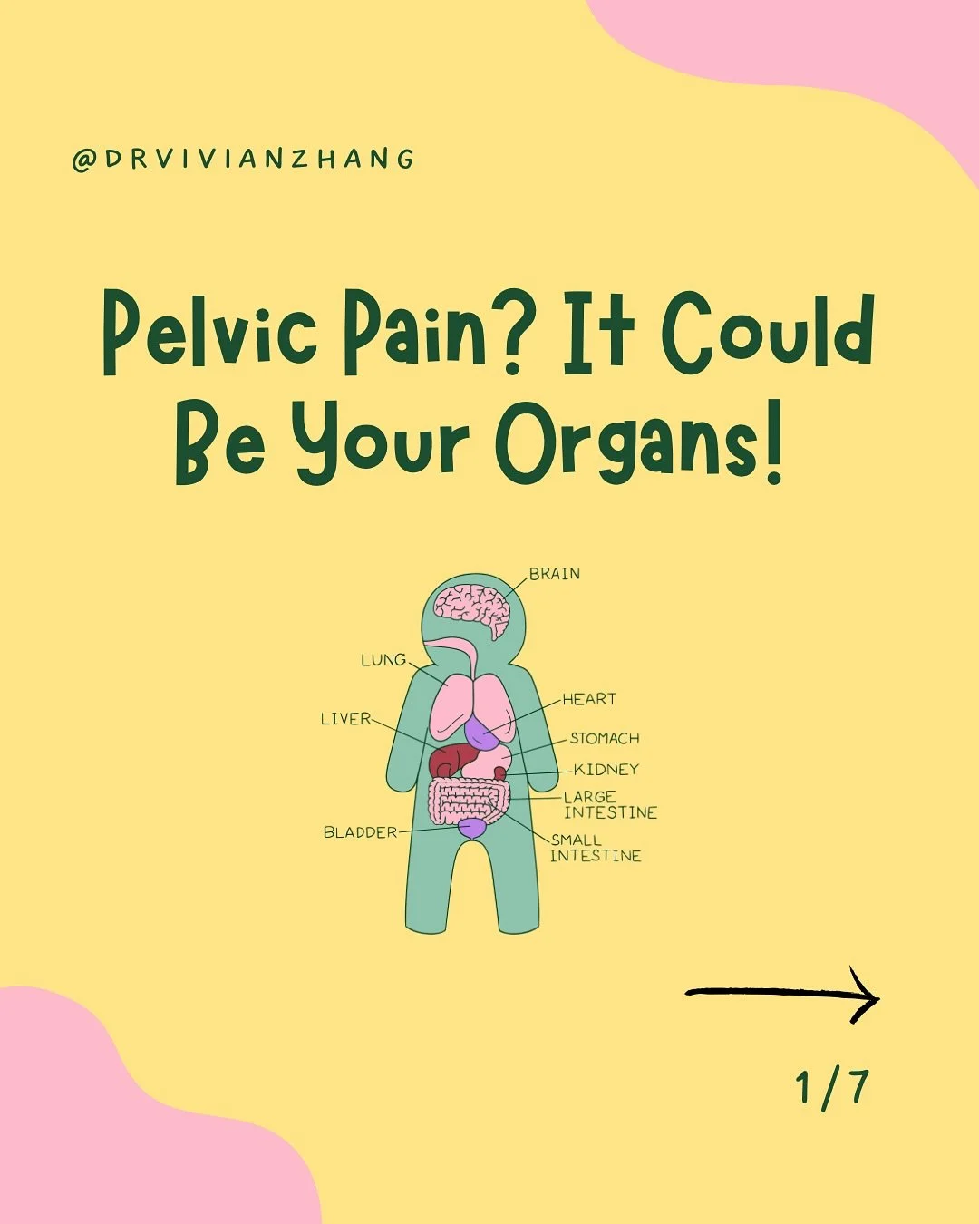 Not all pelvic pain starts in your muscles, your organs can trigger it too.

Sometimes dysfunction in organs such as the bladder, bowel, or uterus can send signals that cause the pelvic floor muscles to tense and painful. This helps explain why pain 