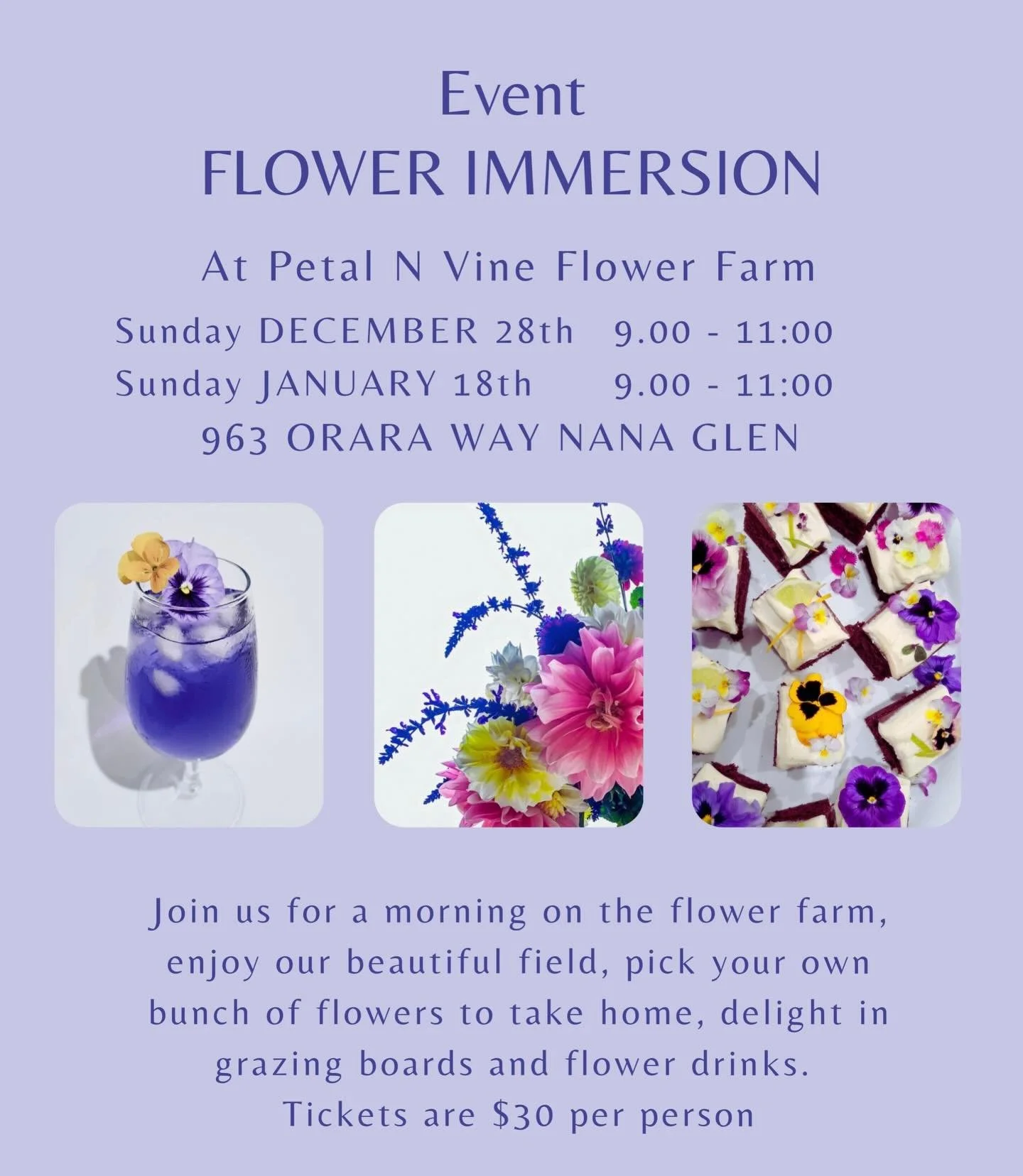 🪻Come and join us on the Petal N Vine Flower Farm over the summer for a Flower Immersion, You&rsquo;ll pick your own flowers to take home, enjoy a grazing board and flower drinks 🪻🪻tickets for these morning events are via the link in our bio 🪻🪻
