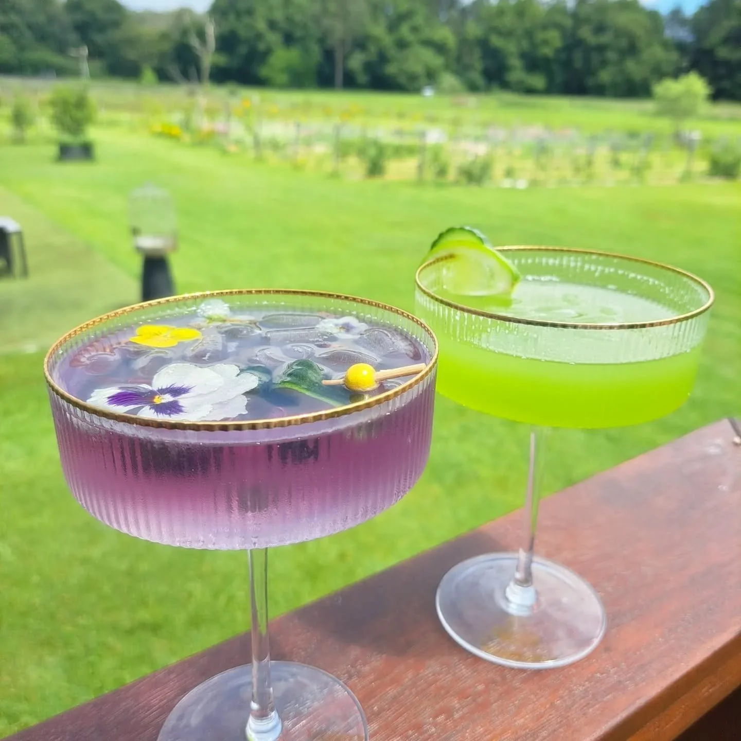 We want to send gratitude, love and appreciation to all the lovely &quot;flower girls&quot; who made our first paint n pick such an amazing day.Thank you...
#fortheloveofflowers #flowers #flowerfarmaustralia