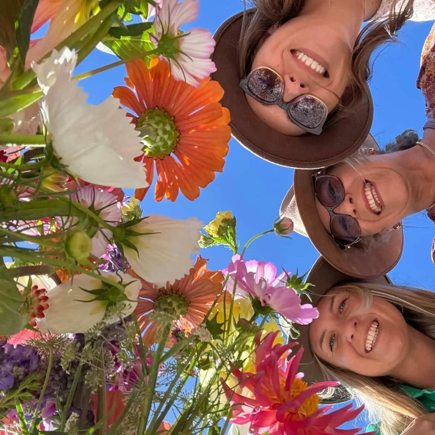 What a perfect day for flower picking. Thank you to all the lovely people who came out to our first "Pick N Sip". We loved seeing you amongst the flowers connecting to nature...
#petalnvineflowers #fortheloveofflowers #flowersmakemehappy