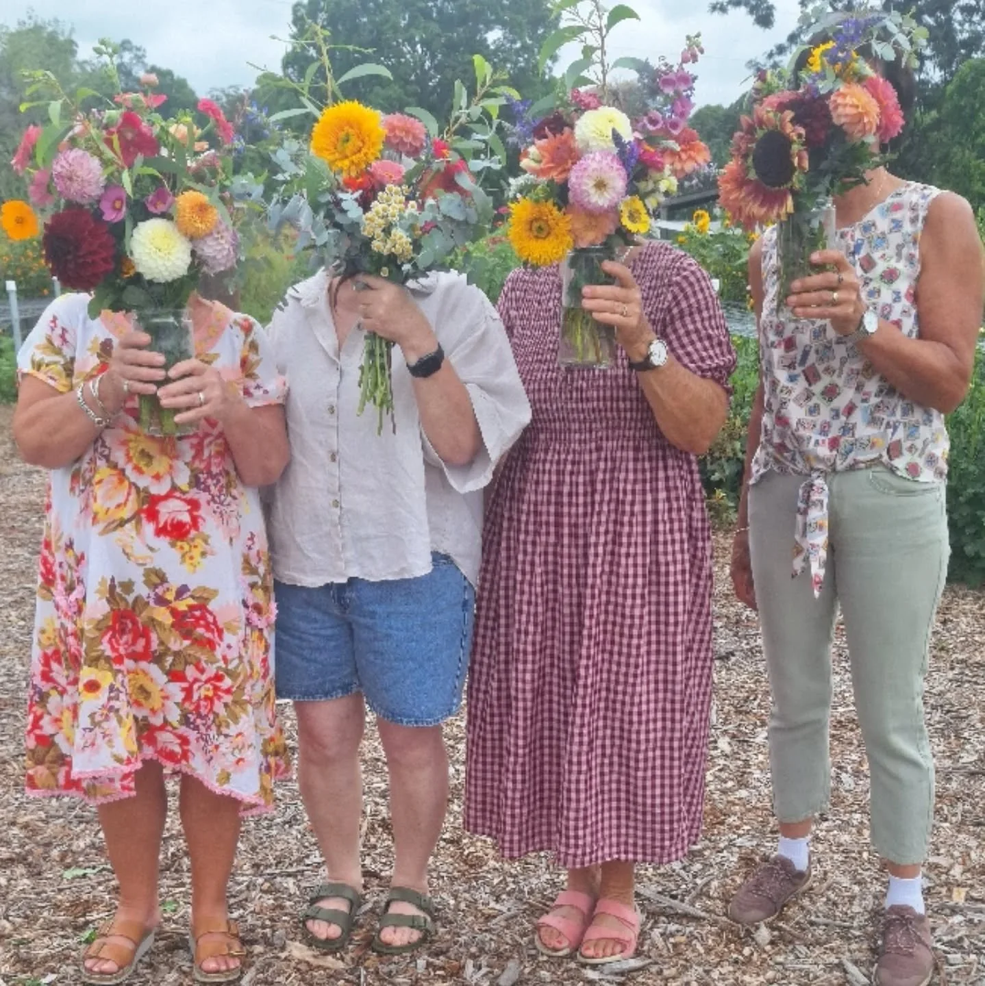 Flower heads...
#fortheloveofflowers #petalnvineflowers #flowersmakemehappy