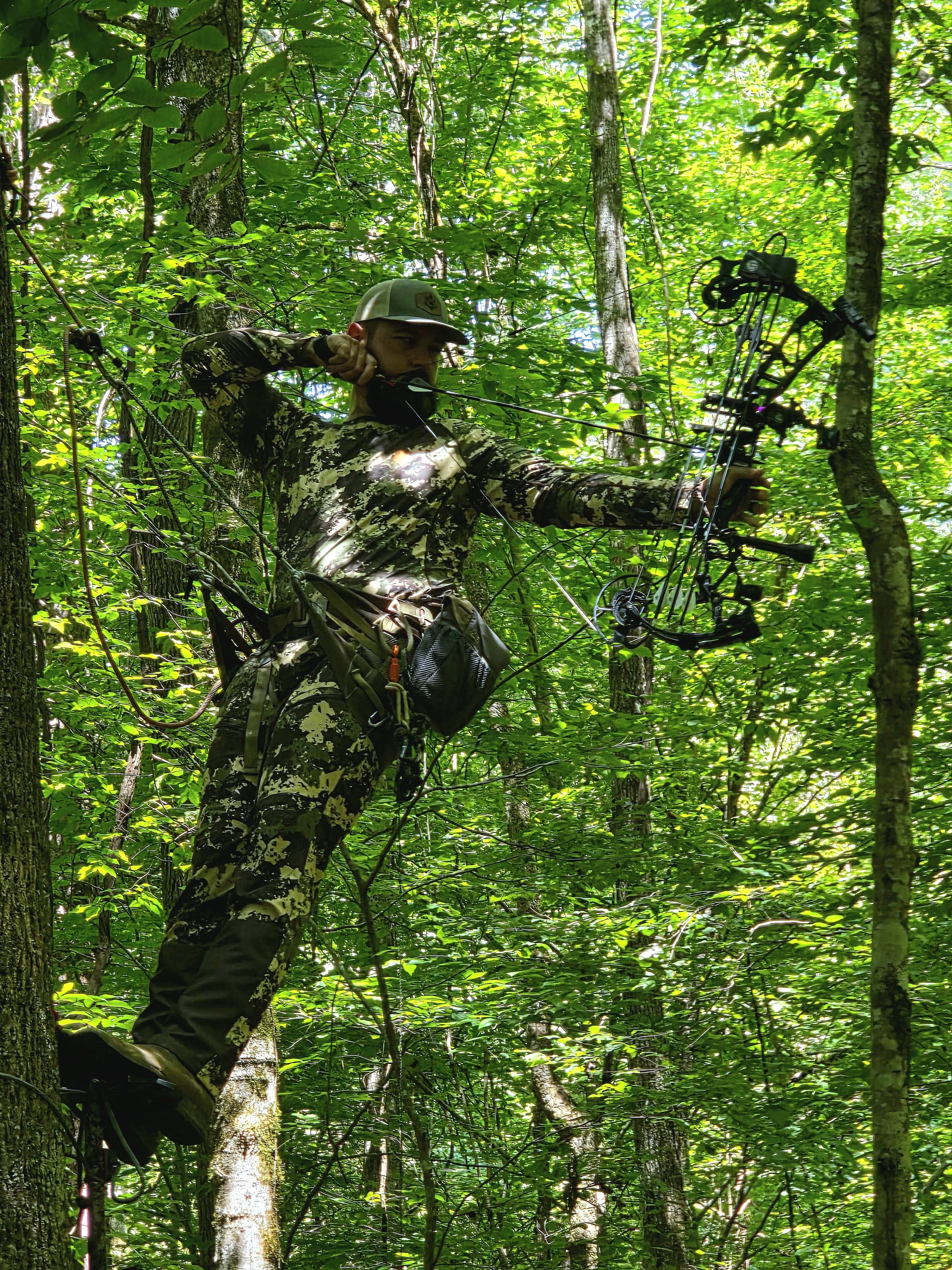 Edited scout bow drawn.jpg