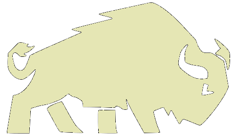 Bison Concrete &amp; Construction
