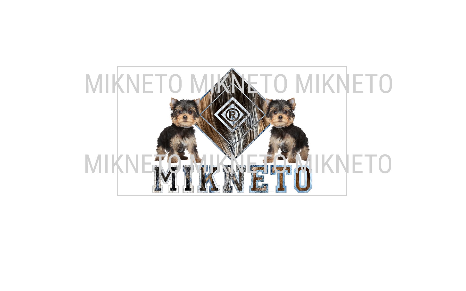 Donation: MIKNETO® - Yorkshire Terrier