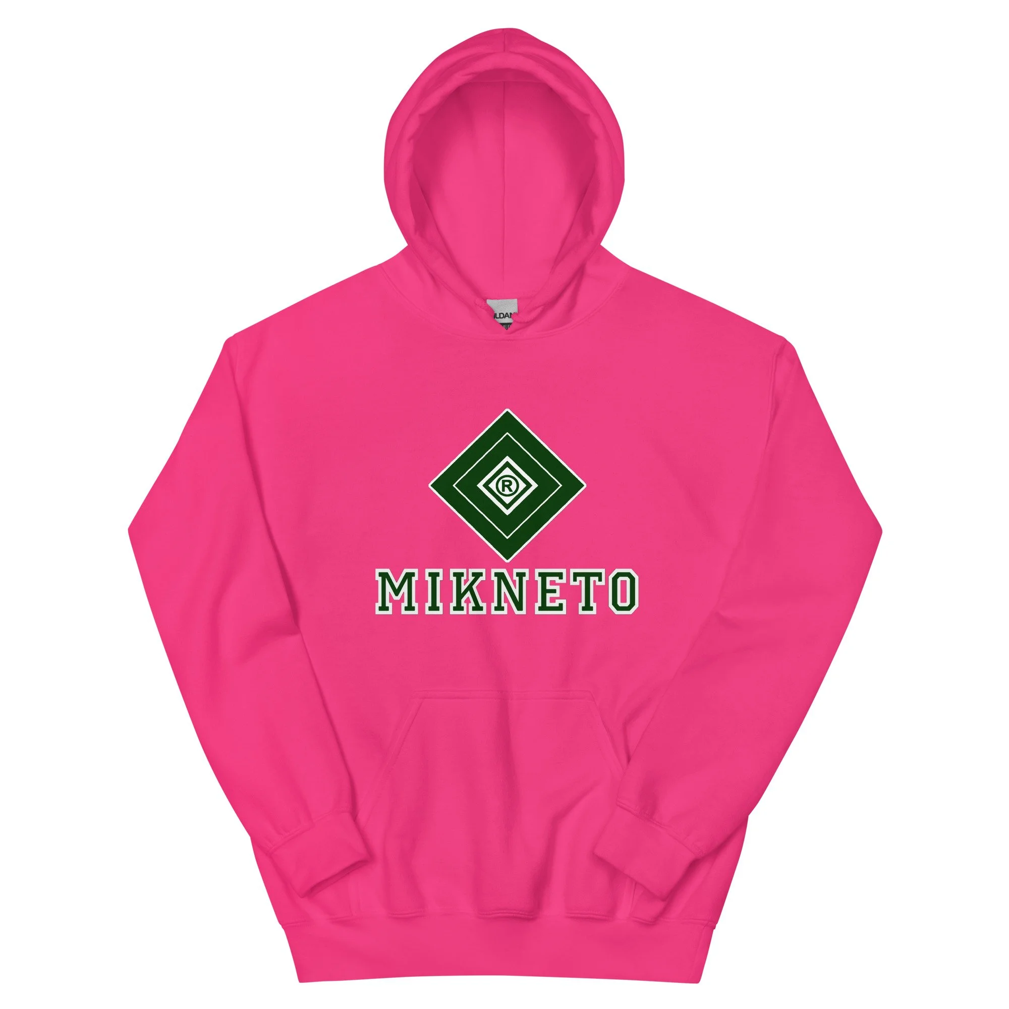 unisex-heavy-blend-hoodie-heliconia-front-6a0674171f49e.jpg