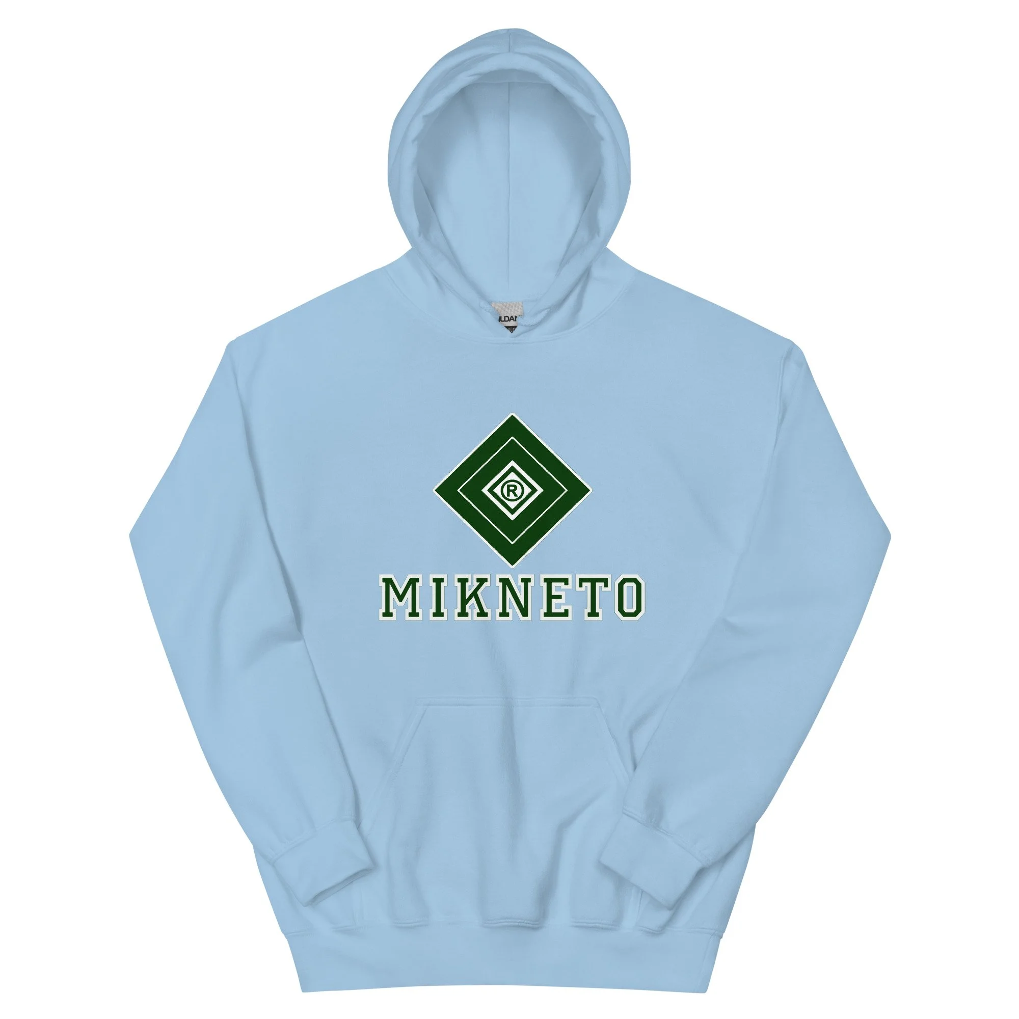 unisex-heavy-blend-hoodie-light-blue-front-6a067417c2efd.jpg