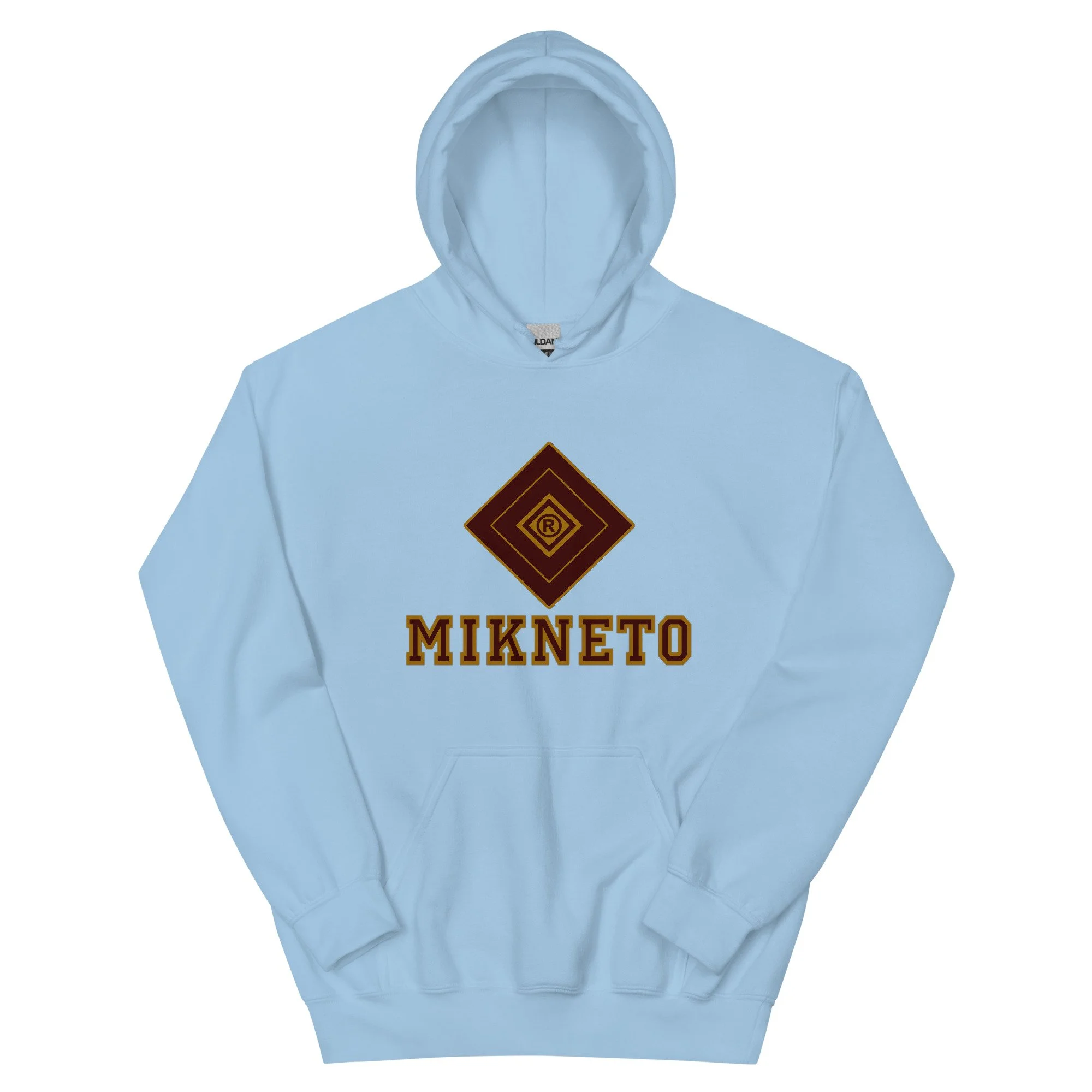 unisex-heavy-blend-hoodie-light-blue-front-6a067876b7863.jpg