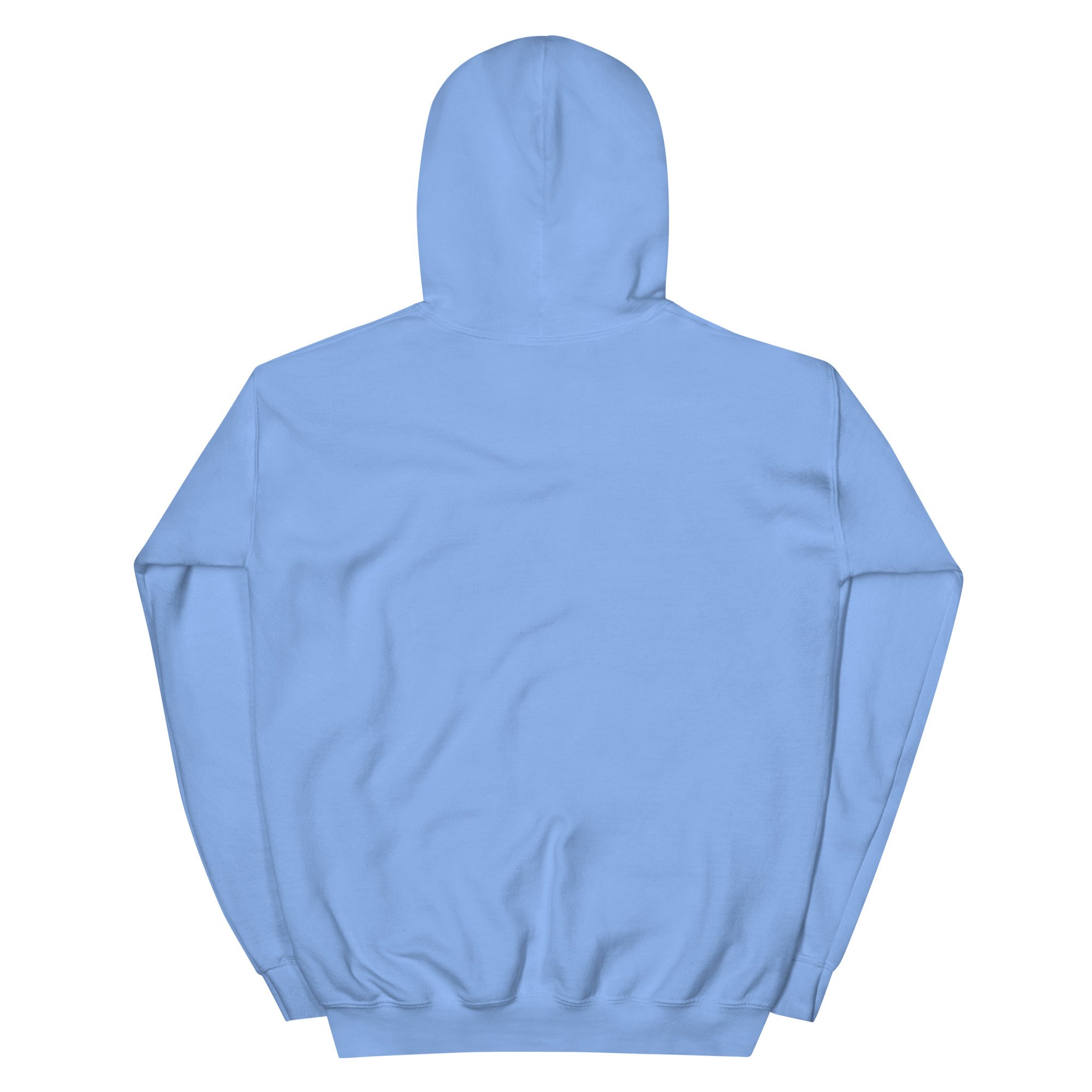 unisex-heavy-blend-hoodie-carolina-blue-back-6a161f34e55b3.jpg