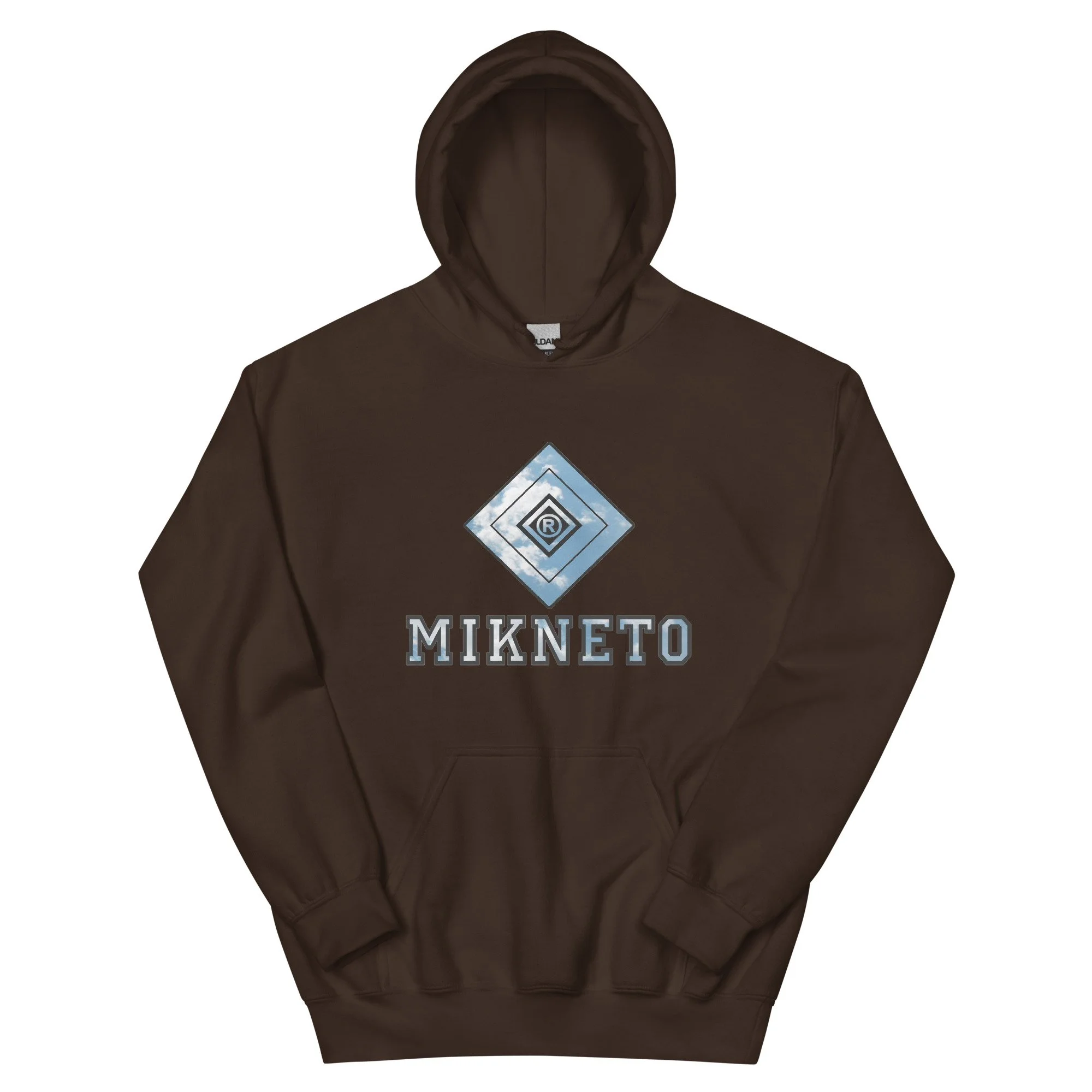unisex-heavy-blend-hoodie-dark-chocolate-front-6a162d780ee25.jpg