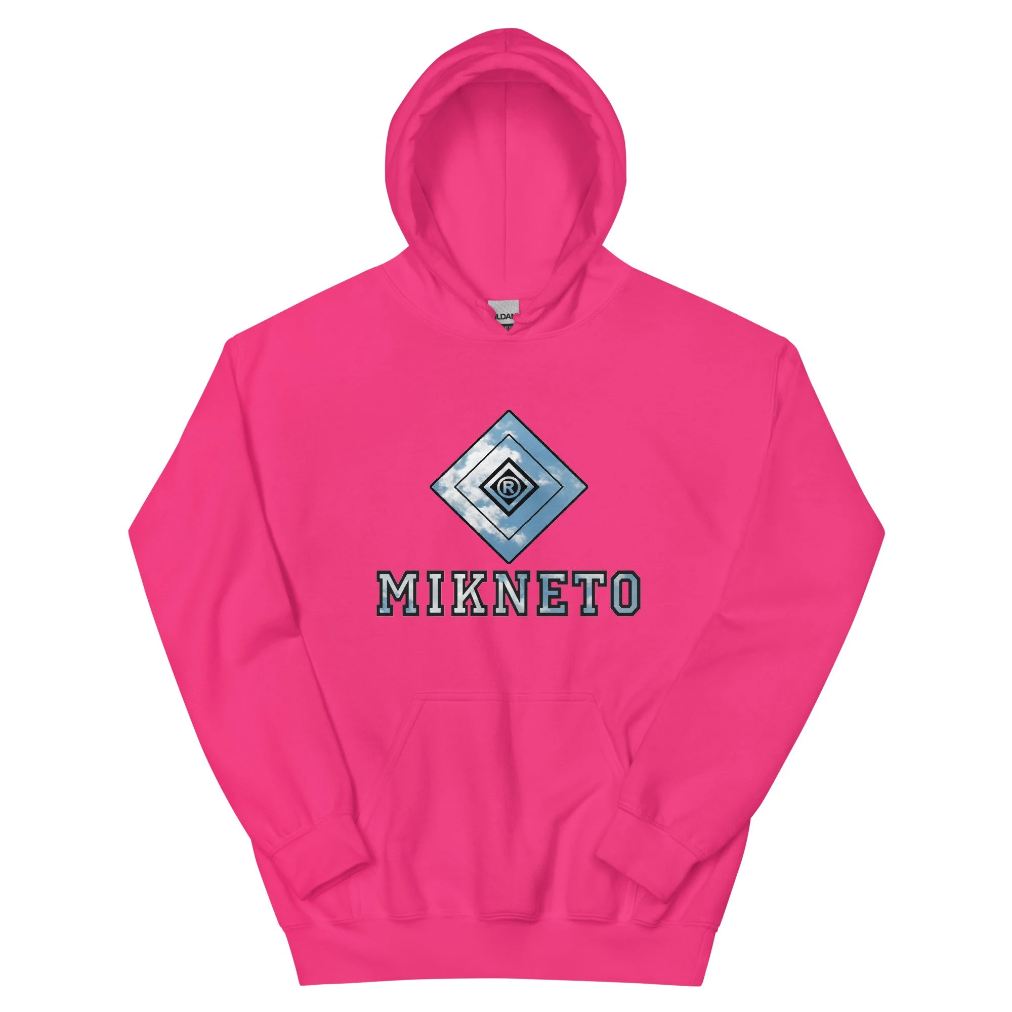 unisex-heavy-blend-hoodie-heliconia-front-6a162d783c105.jpg