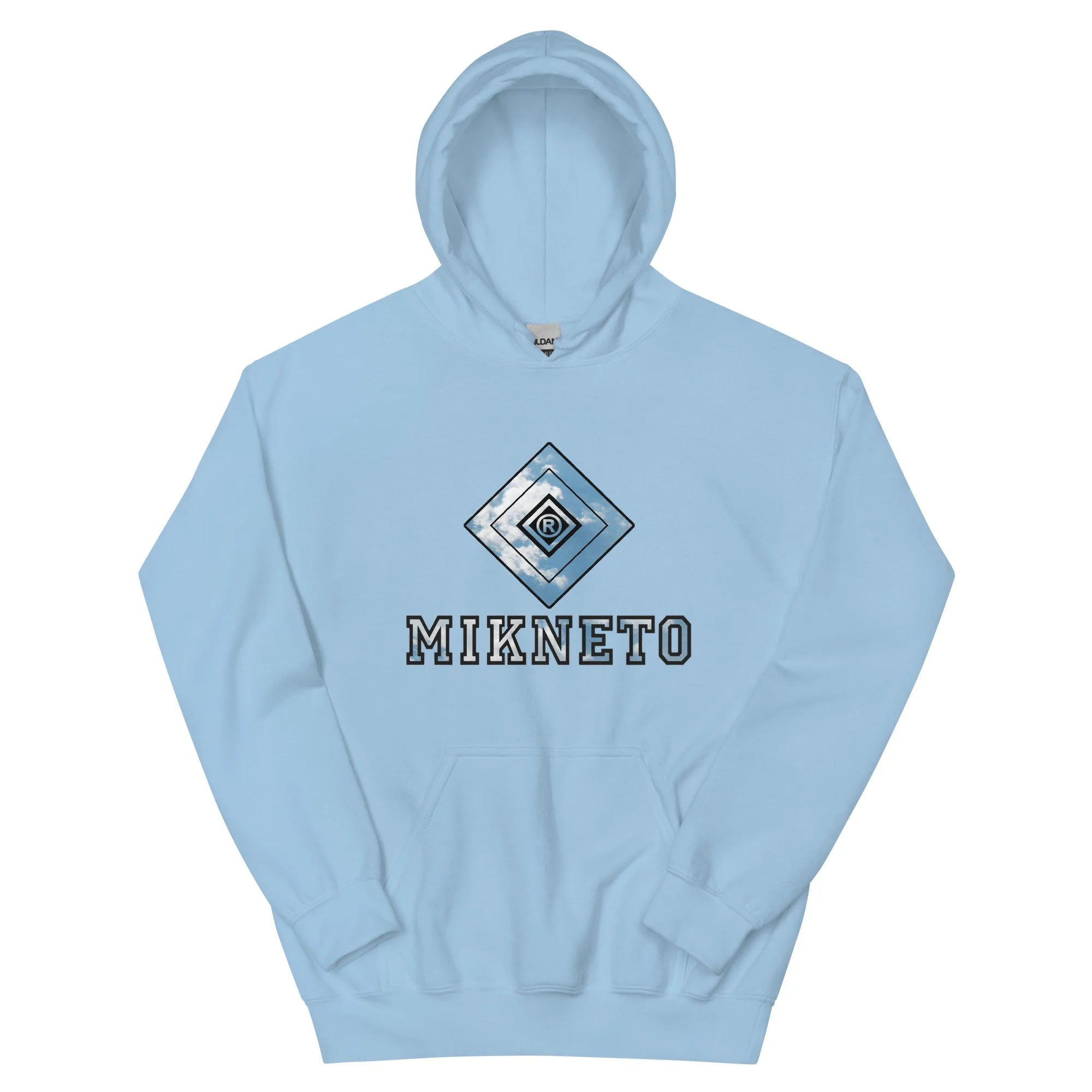 unisex-heavy-blend-hoodie-light-blue-front-6a162d78ab052.jpg