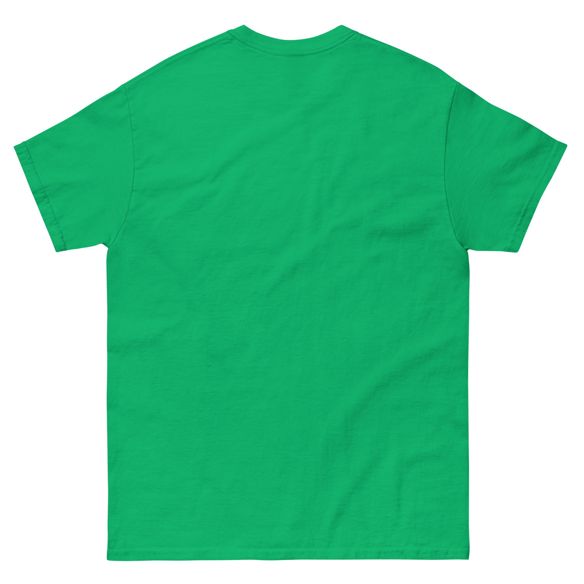 unisex-classic-tee-irish-green-back-6a16312d3f3b5.jpg