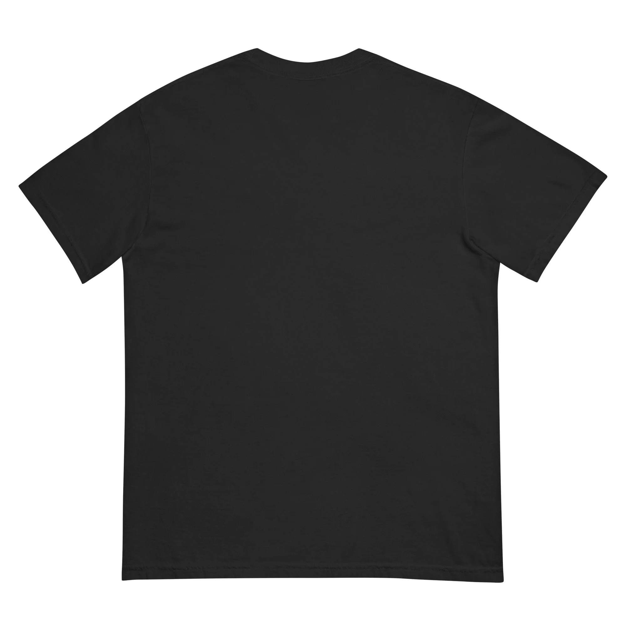 unisex-garment-dyed-heavyweight-t-shirt-black-back-6a4e2286b7b39.jpg