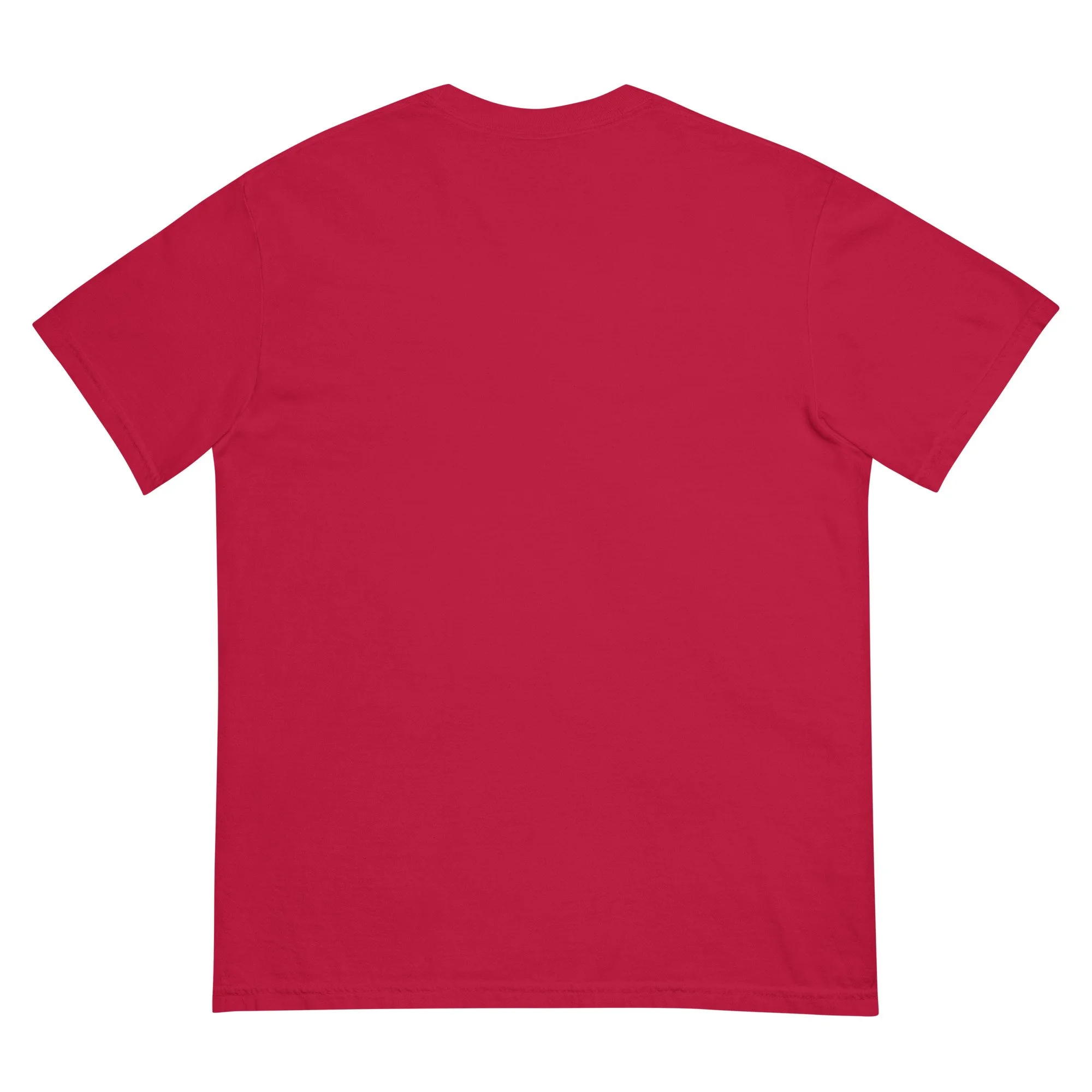 unisex-garment-dyed-heavyweight-t-shirt-red-back-6a4e2286b8758.jpg
