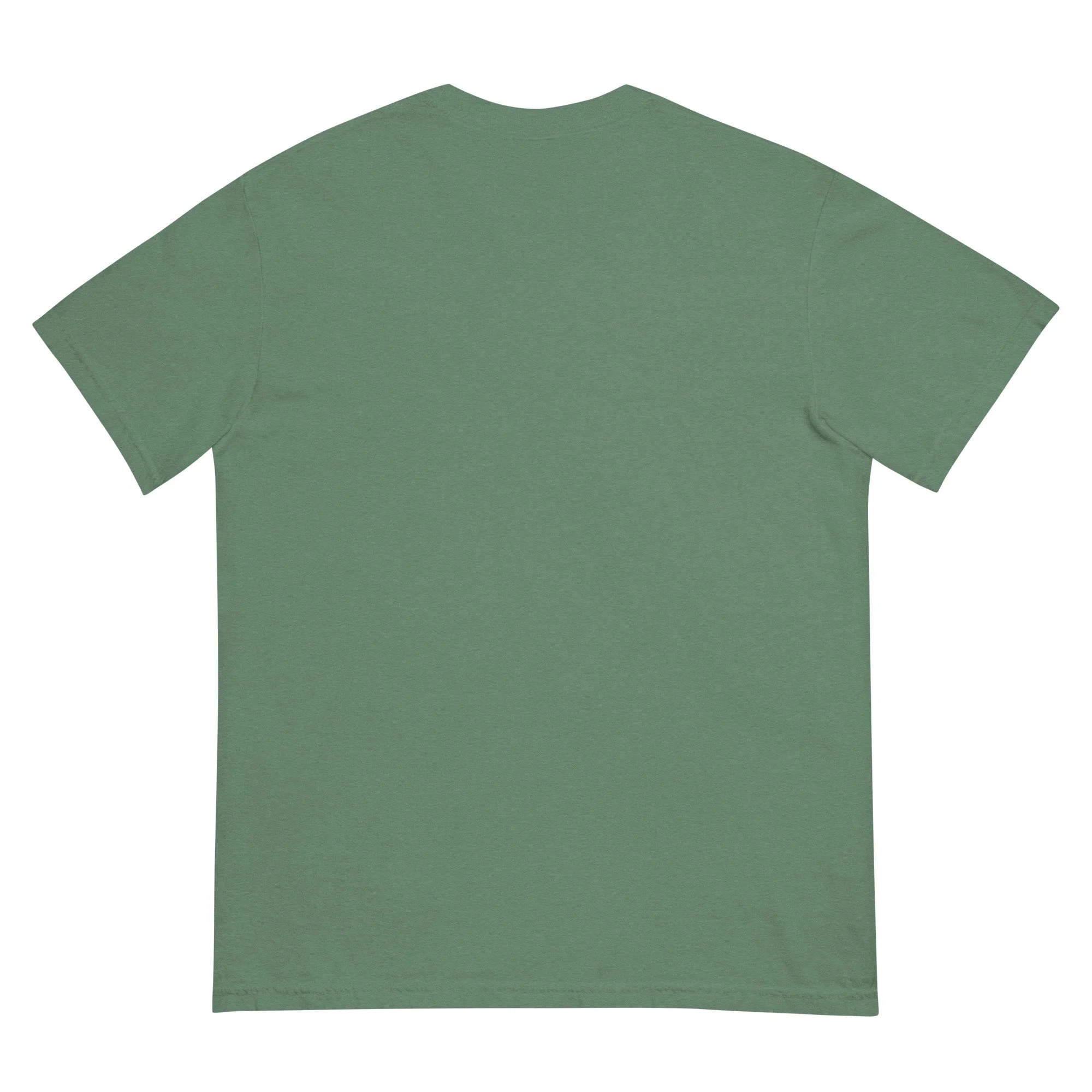 unisex-garment-dyed-heavyweight-t-shirt-light-green-back-6a4e2286c4899.jpg