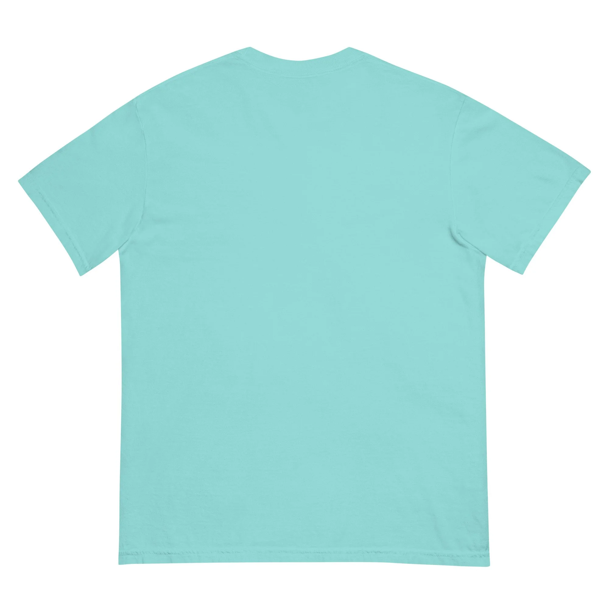 unisex-garment-dyed-heavyweight-t-shirt-lagoon-blue-back-6a4e2286d00b9.jpg