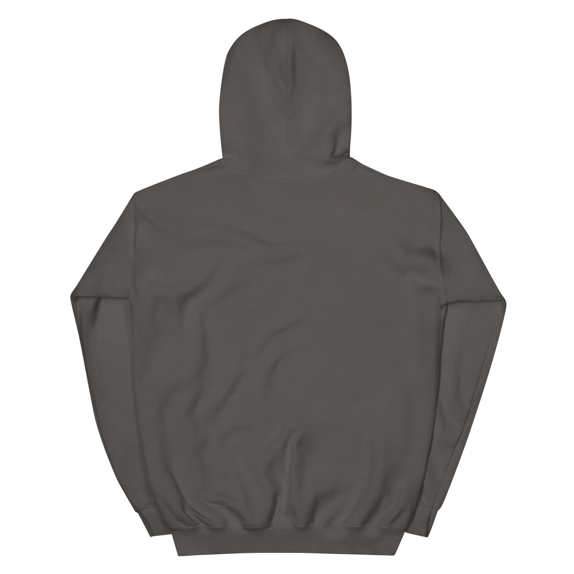 unisex-heavy-blend-hoodie-charcoal-back-6a5a05ce8e344.jpg