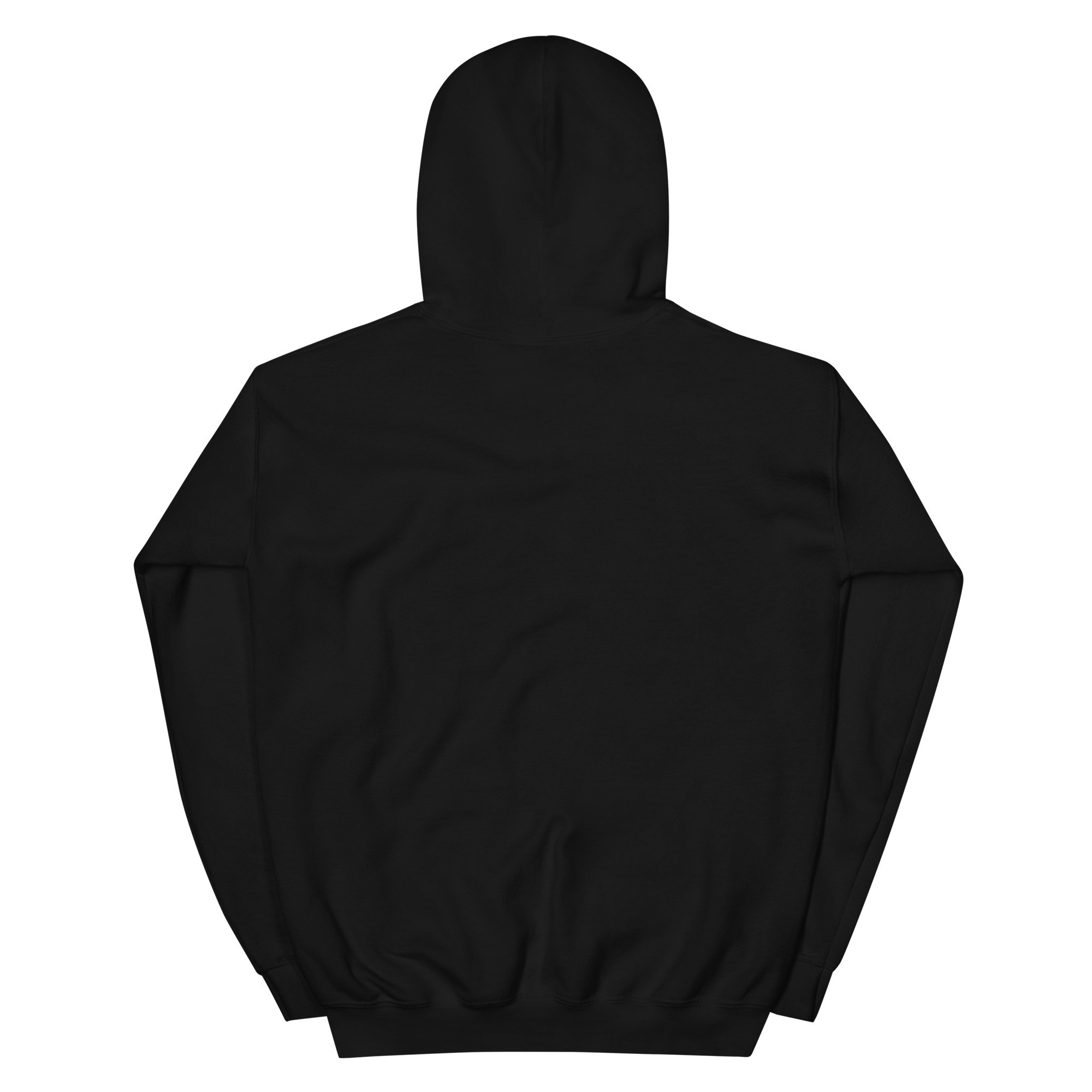 unisex-heavy-blend-hoodie-black-back-6a5af225bc17d.jpg