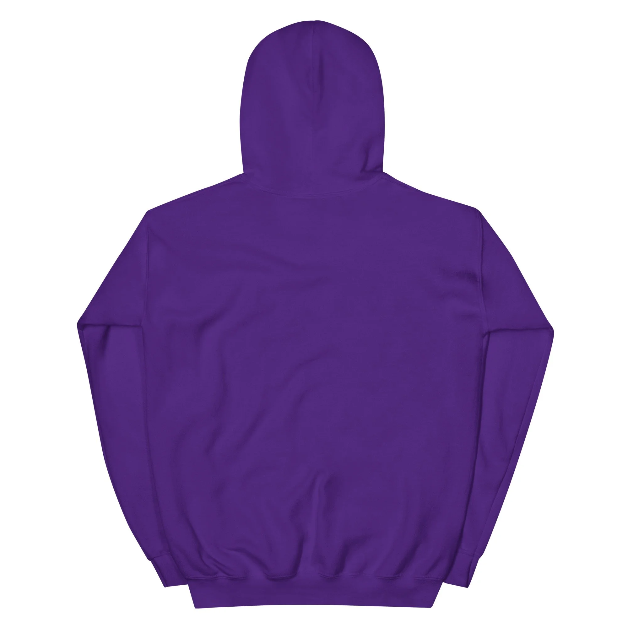unisex-heavy-blend-hoodie-purple-back-6a5d85ee7041e.jpg