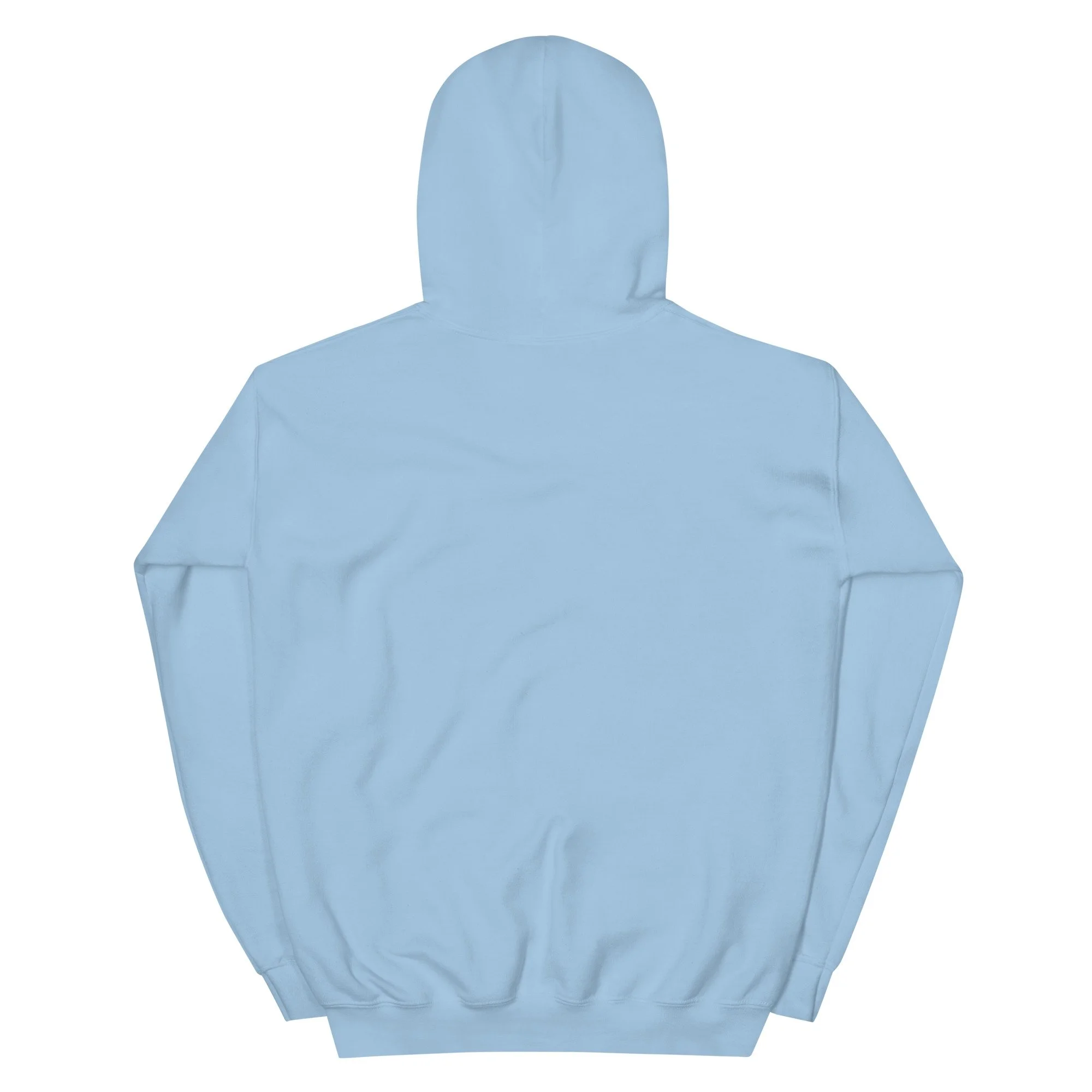 unisex-heavy-blend-hoodie-light-blue-back-6a5d85eeae41b.jpg