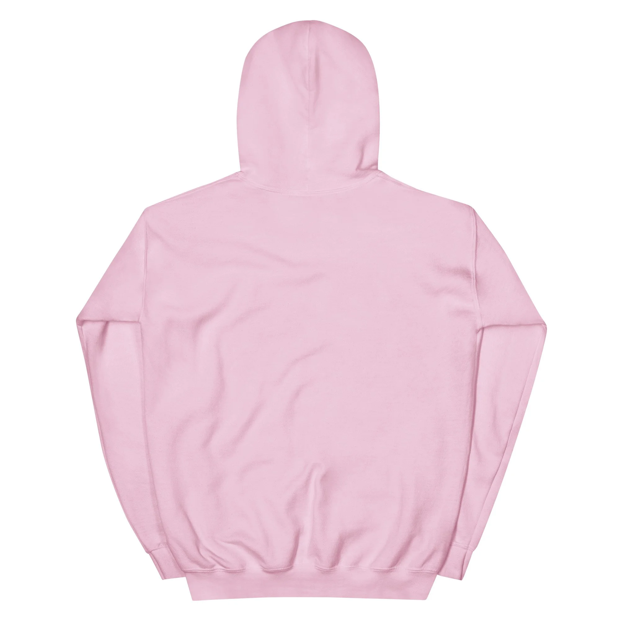 unisex-heavy-blend-hoodie-light-pink-back-6a5d87dc7e5ae.jpg