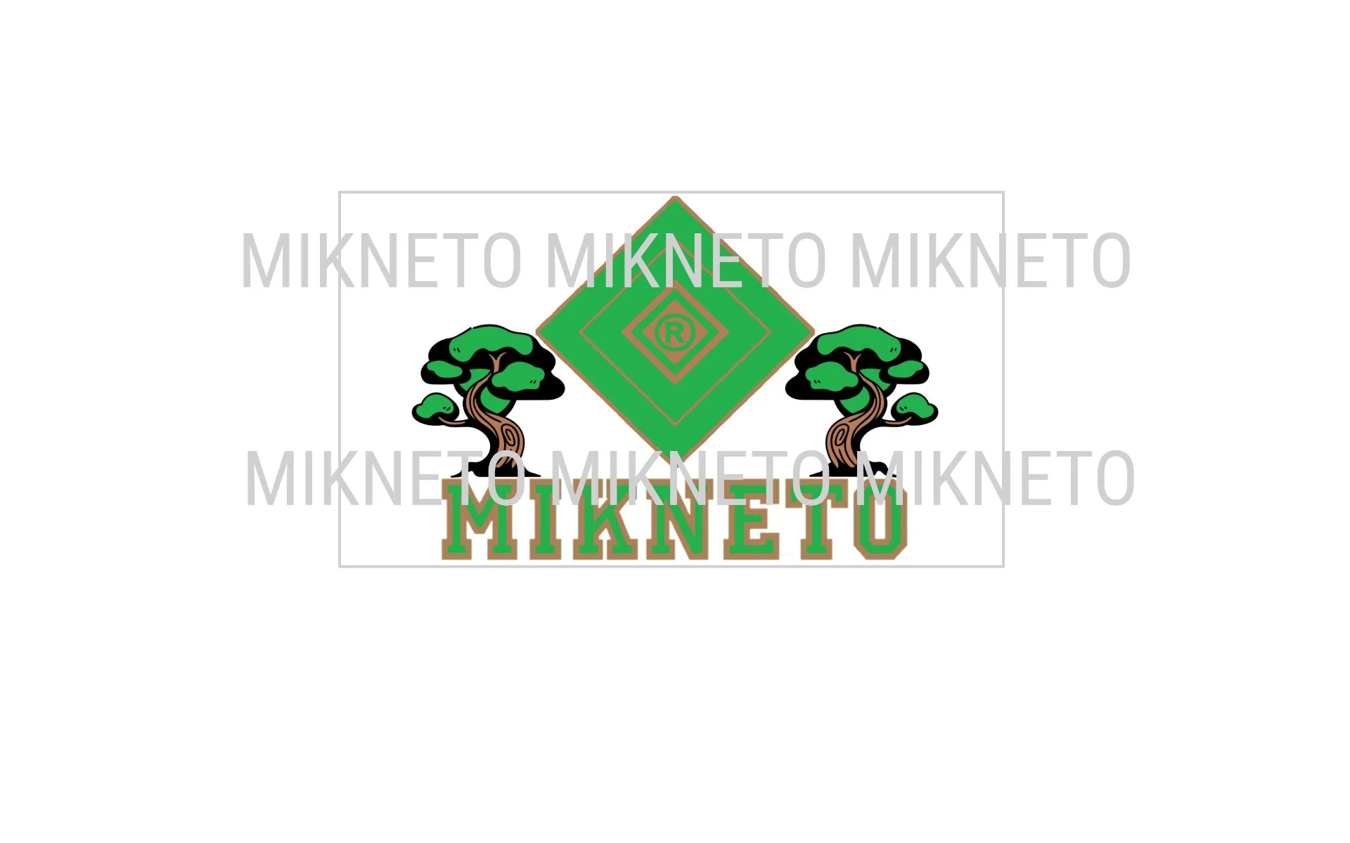 MIKNETO - Juniper Bonsai Tree