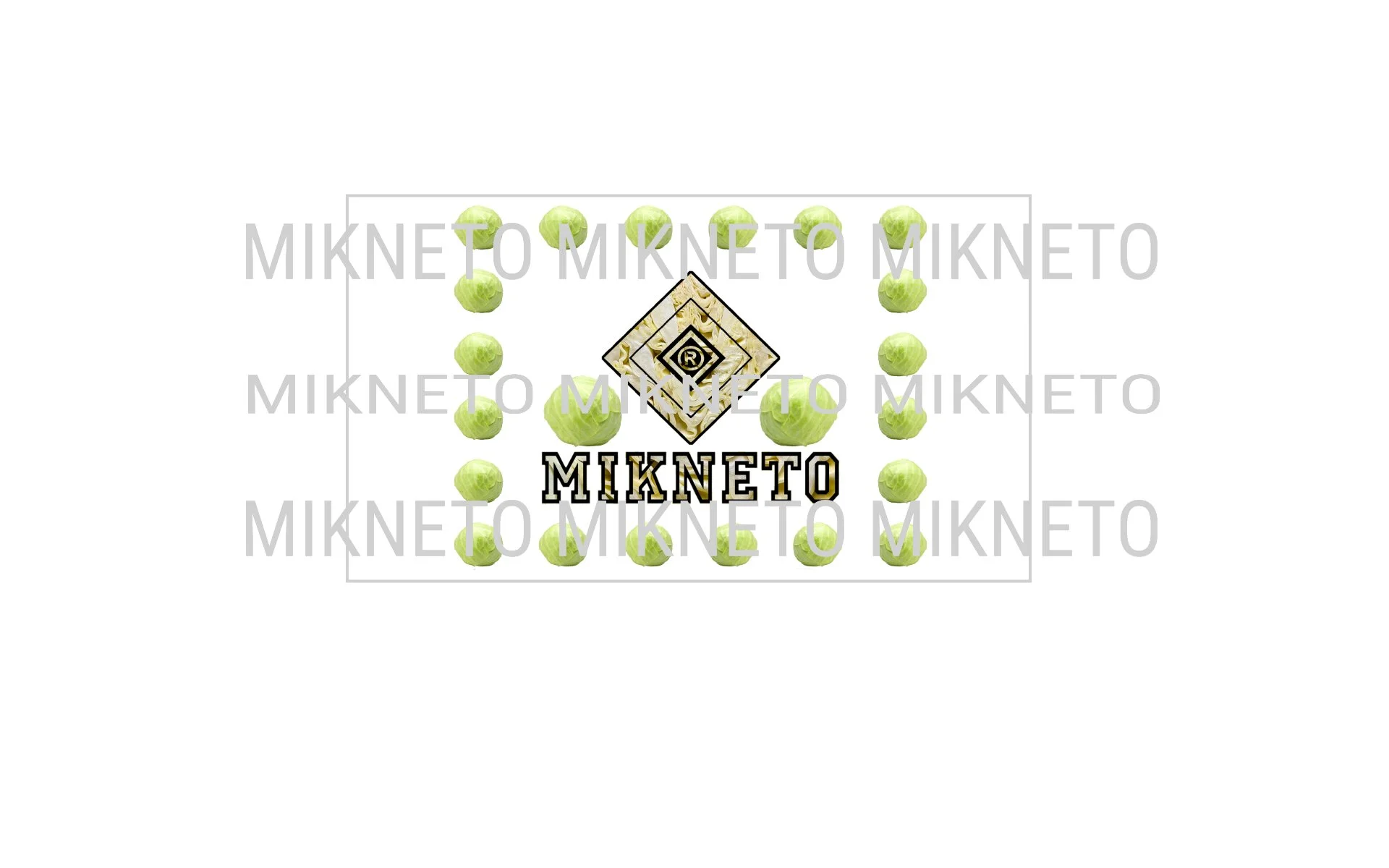 MIKNETO® - Green Cabbage 2